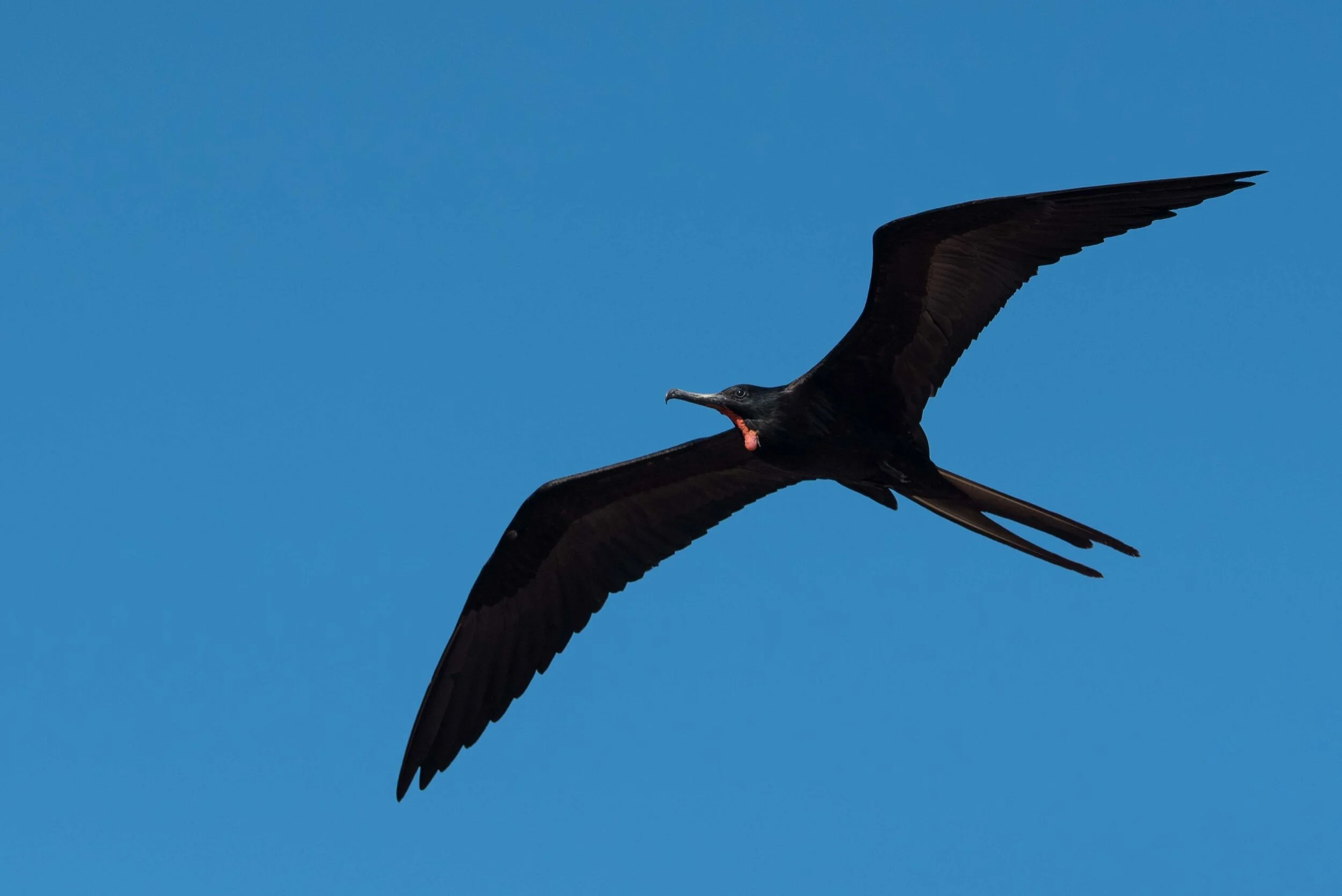 Thomas Wilson Photography - Gallery demo-32.jpg