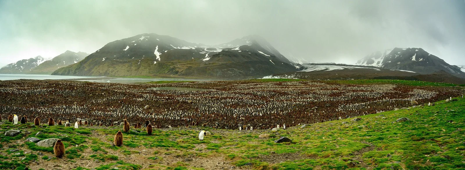 _TWZ1749-Pano.jpg