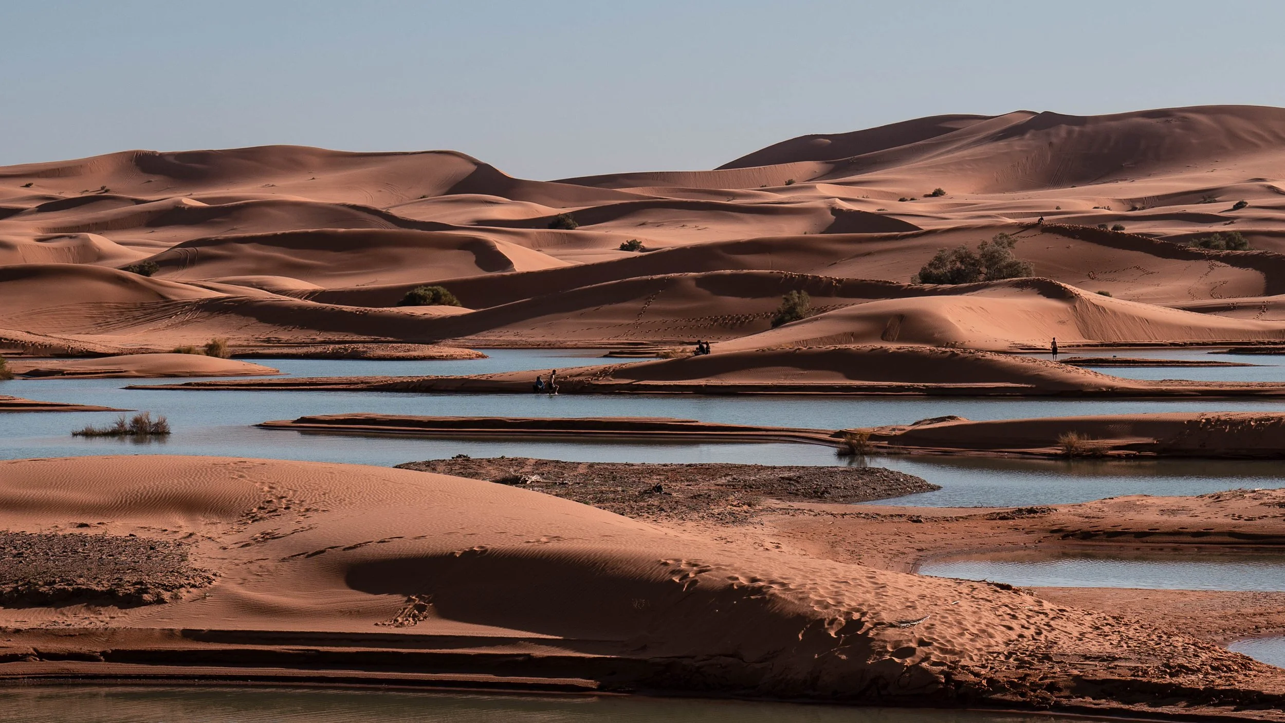 Morocco - Thomas Wilson-15.jpg