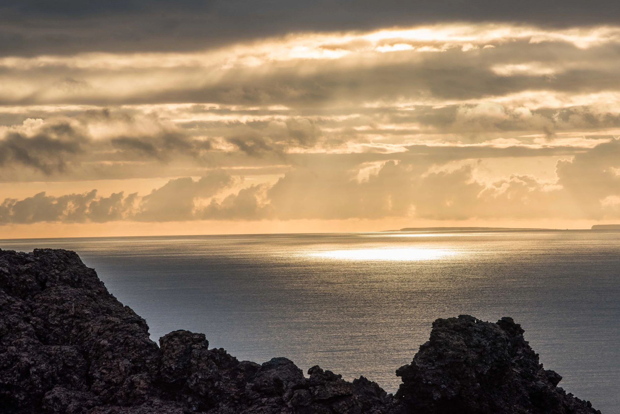 The Galapagos