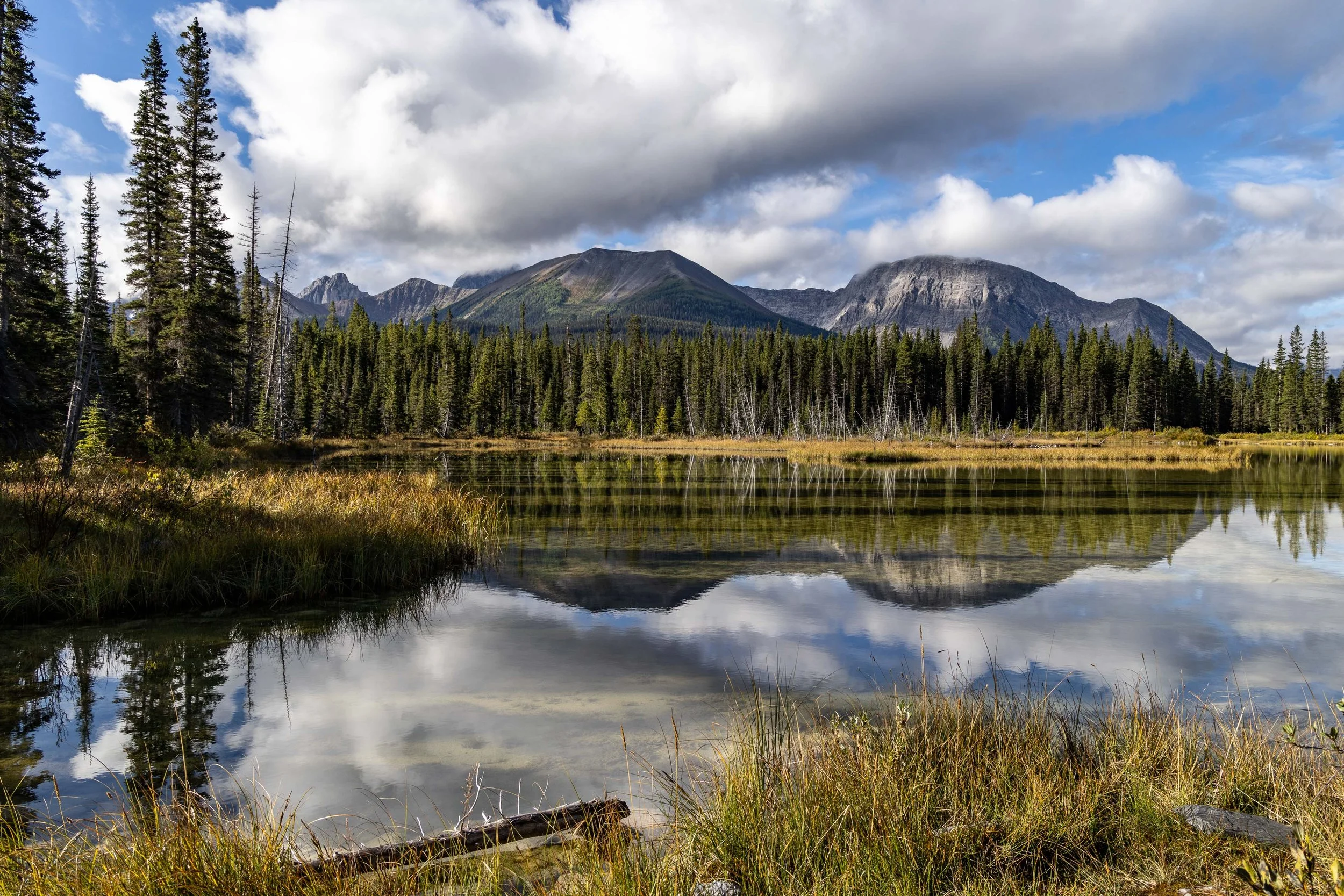 Canadian Rockies_TEWilson-7.jpg