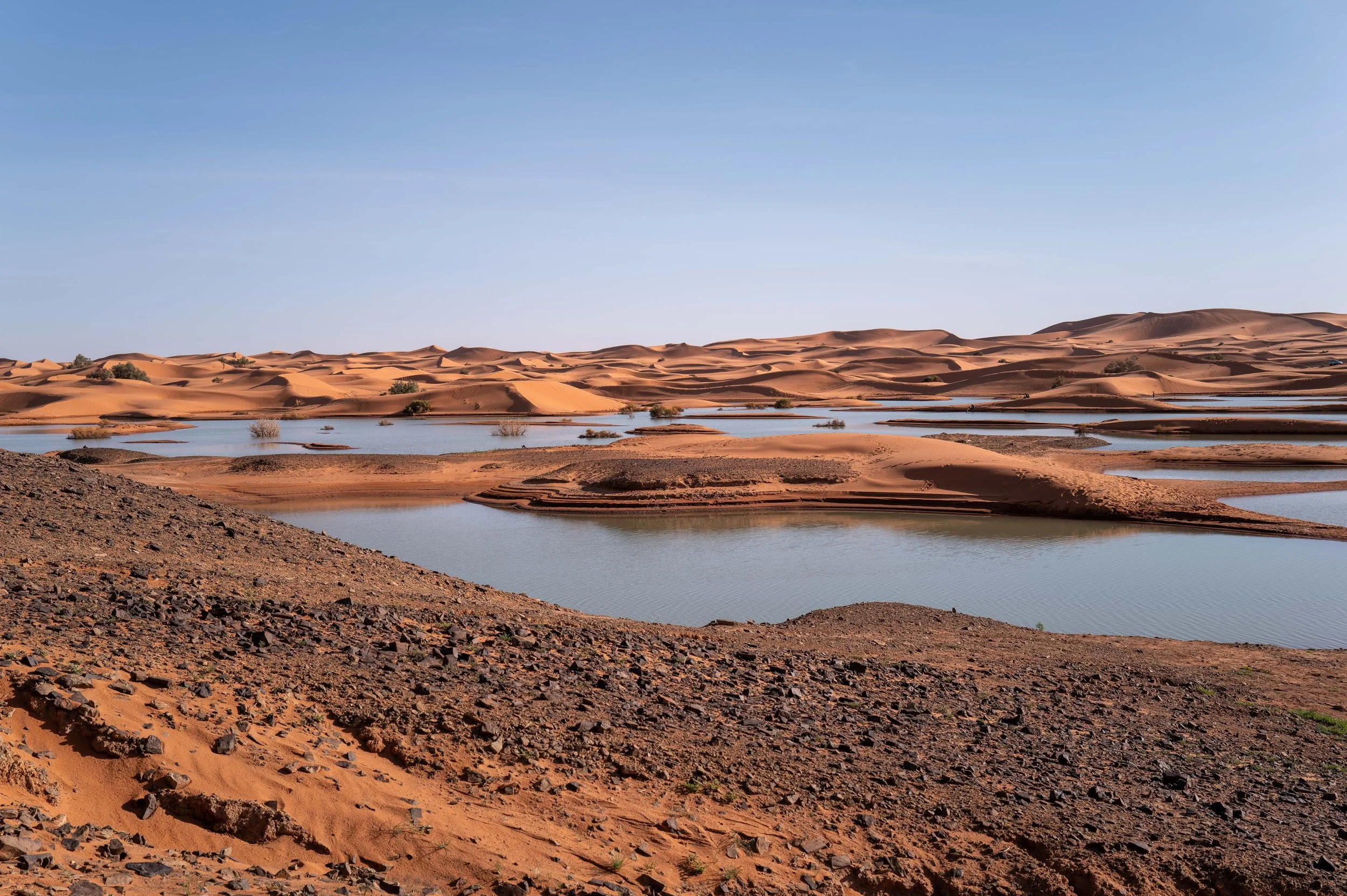 Morocco-ThomasEWilson-106.jpg