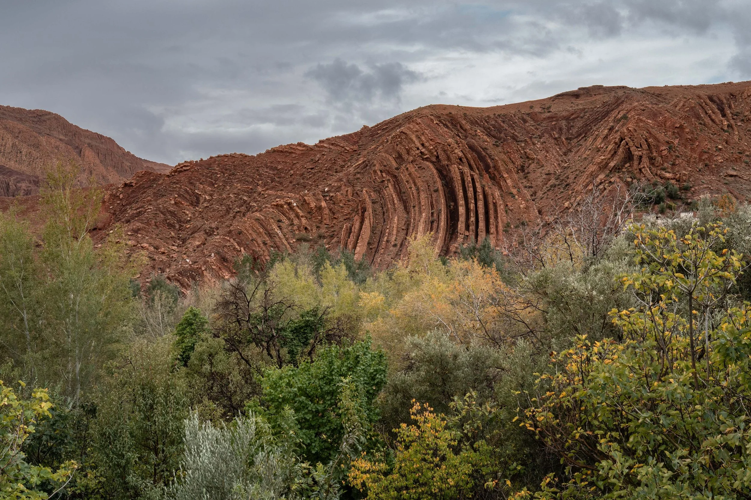 Morocco-ThomasEWilson-151.jpg