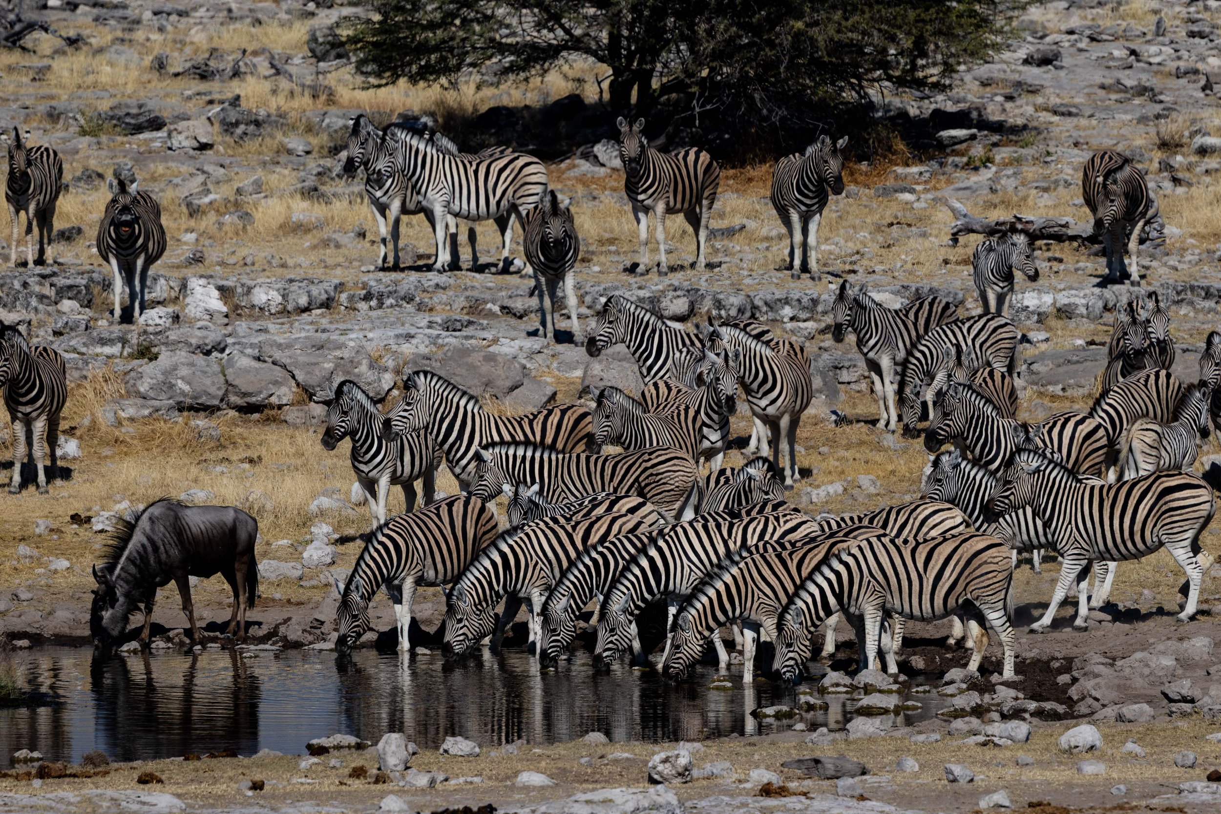 Namibia-ThomasEWilson-117.jpg
