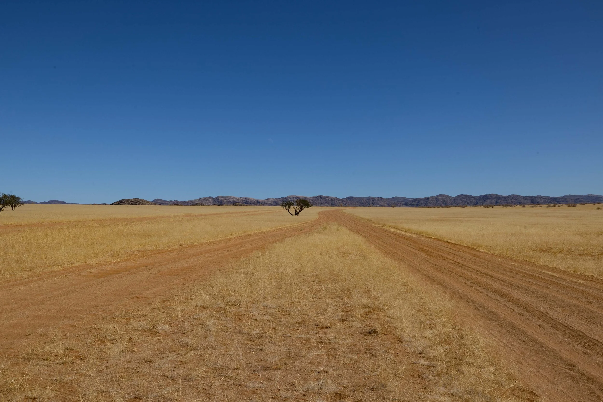 Namibia-ThomasEWilson-111.jpg
