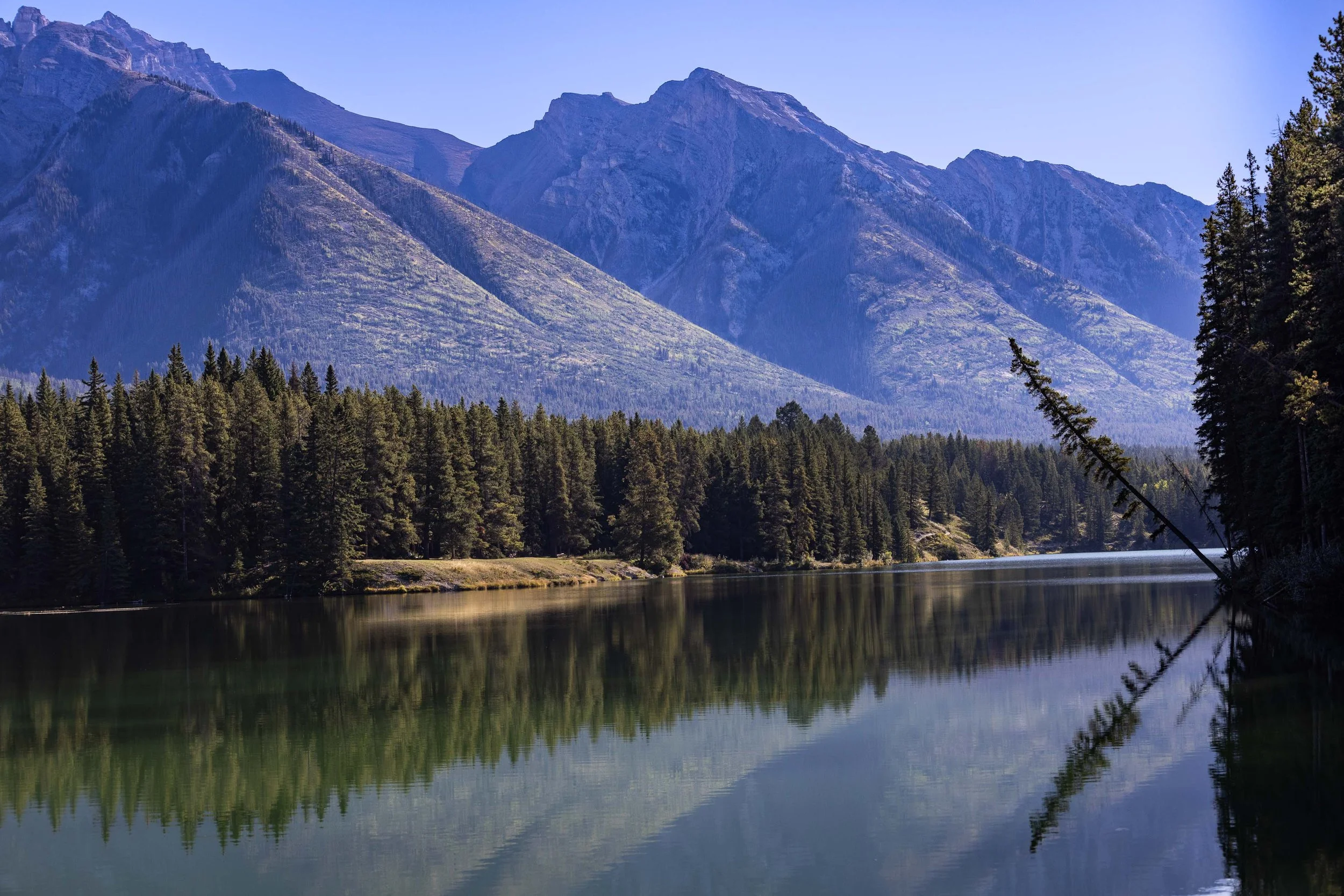 Canadian Rockies_TEWilson-10.jpg