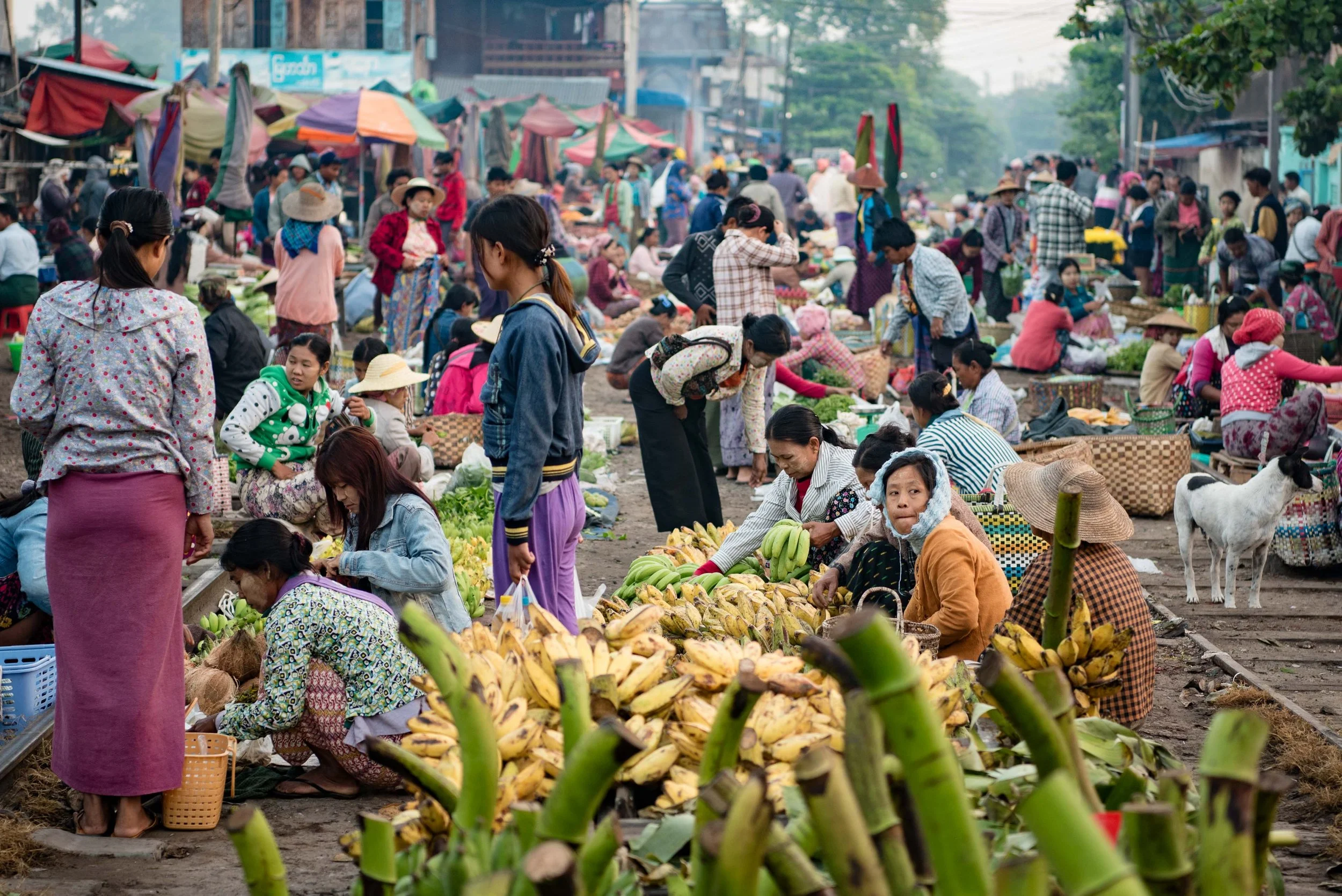 Myanmar ThomasEWilson-160.jpg