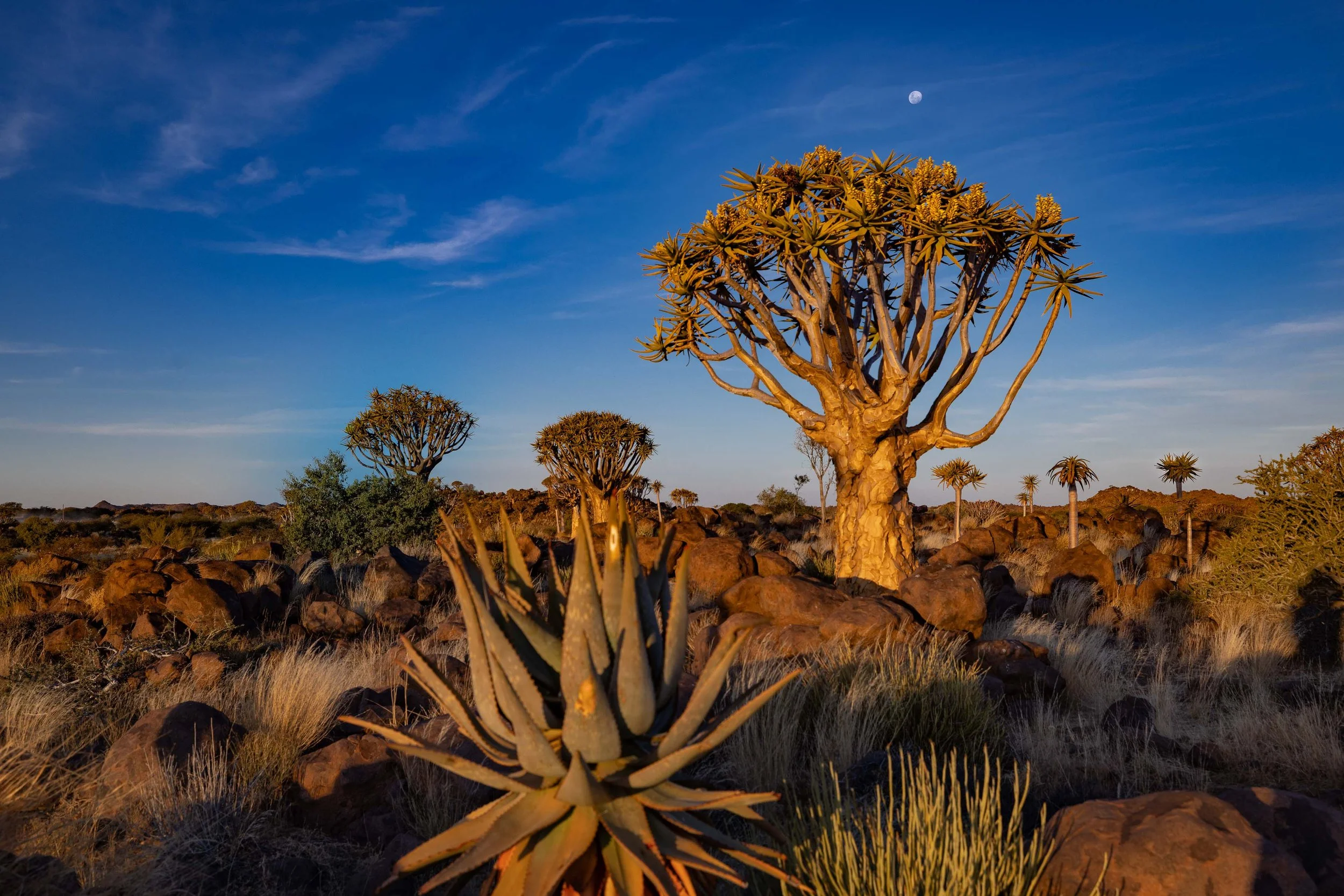 Namibia-ThomasEWilson-113.jpg