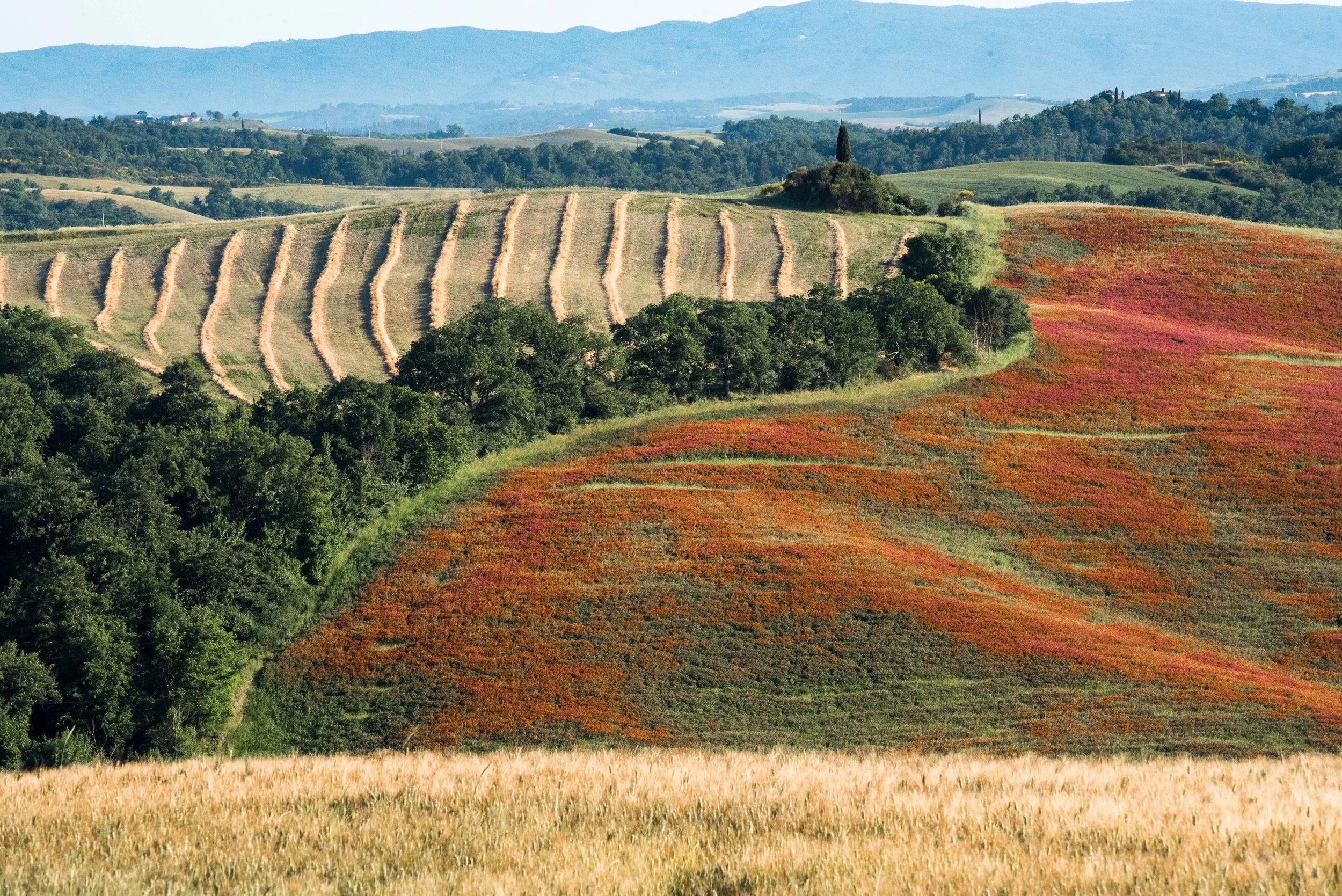 Tuscany, Italy