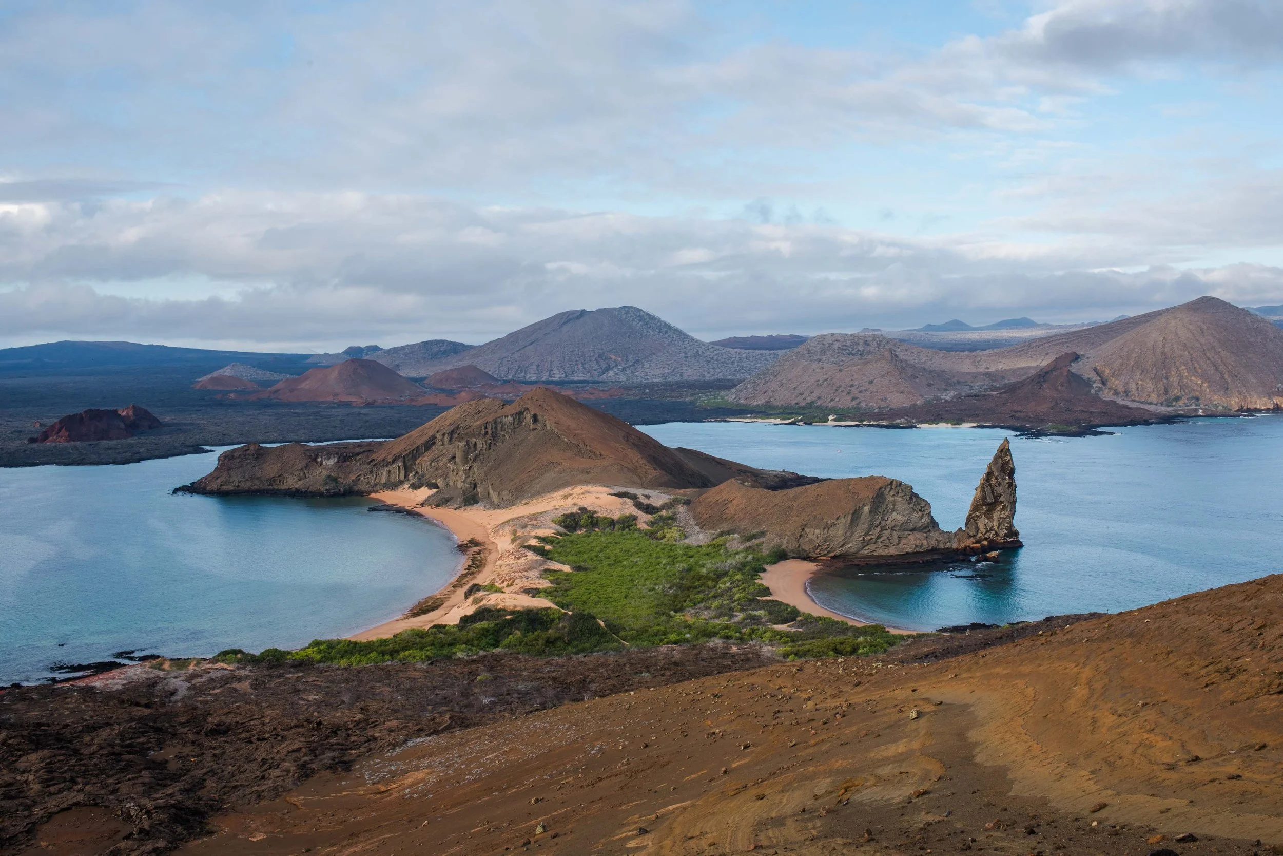 The Galapagos
