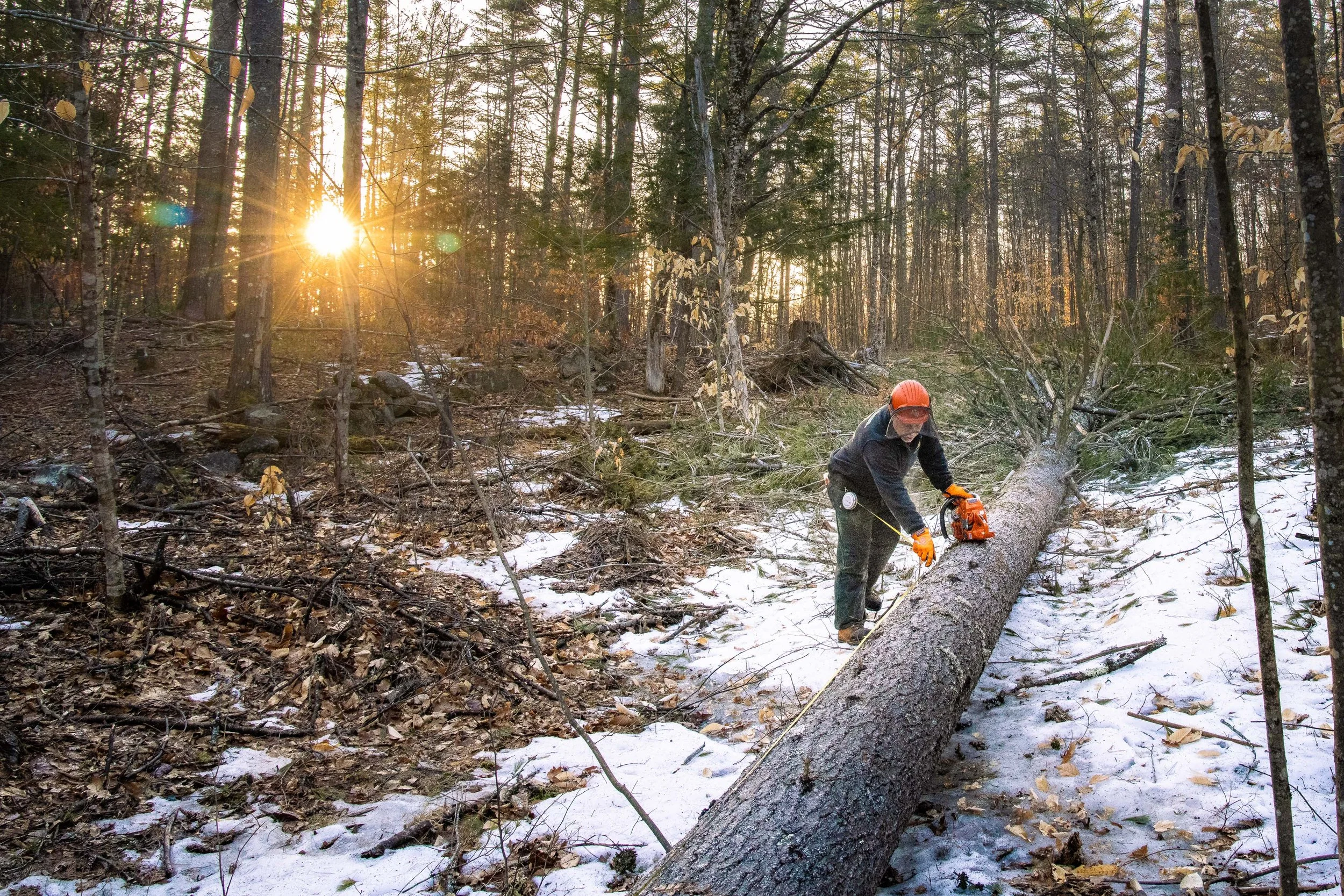Logging in New Hampshire