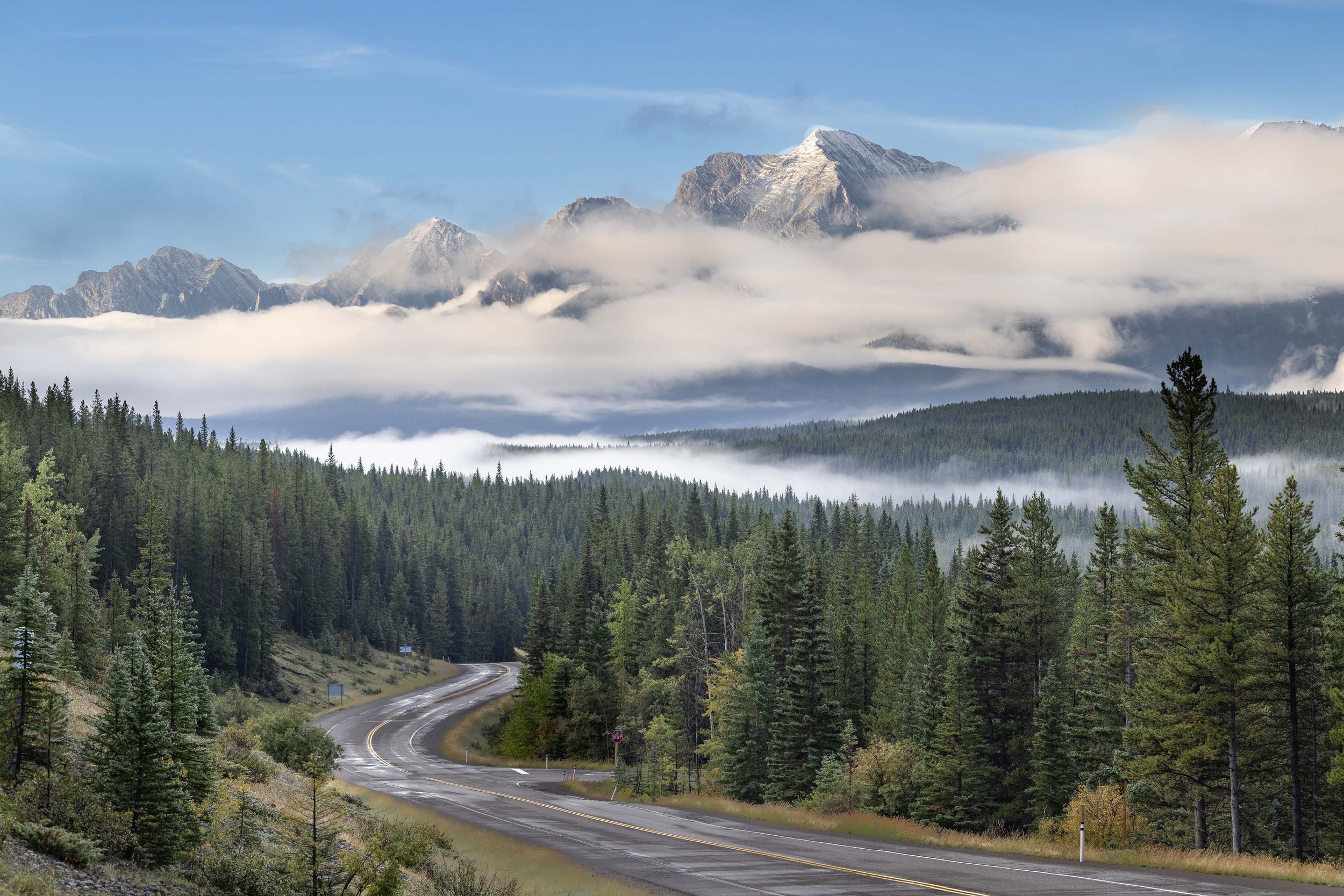 Canadian Rockies_TEWilson-1.jpg