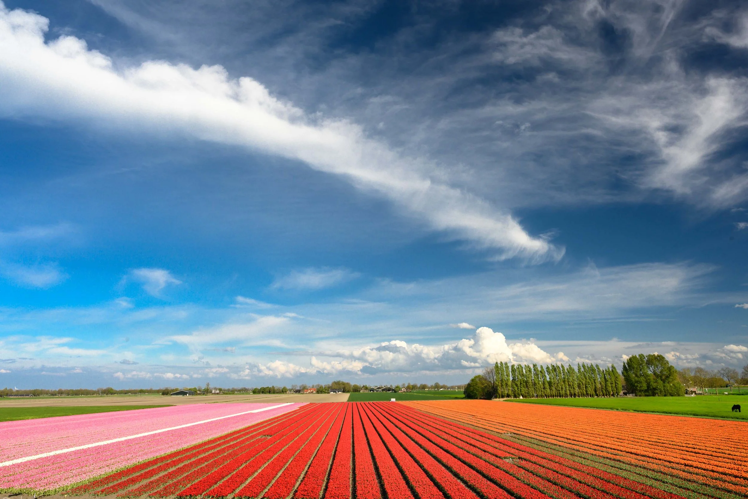 Hoorn, Netherlands