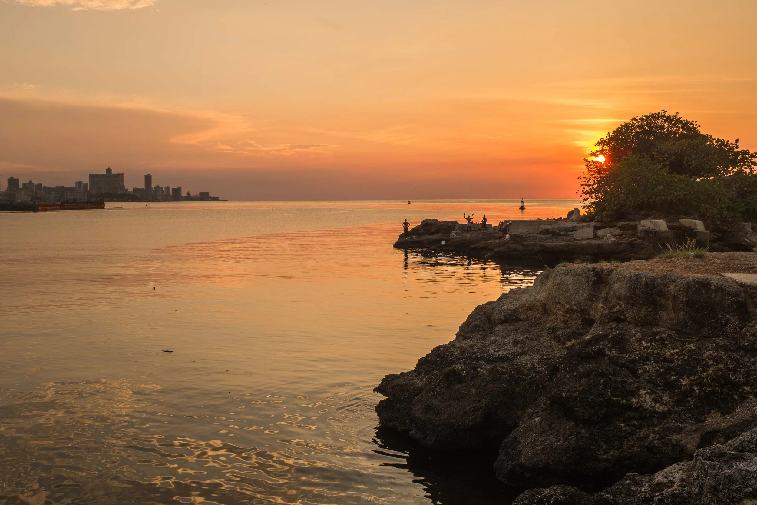 Havana