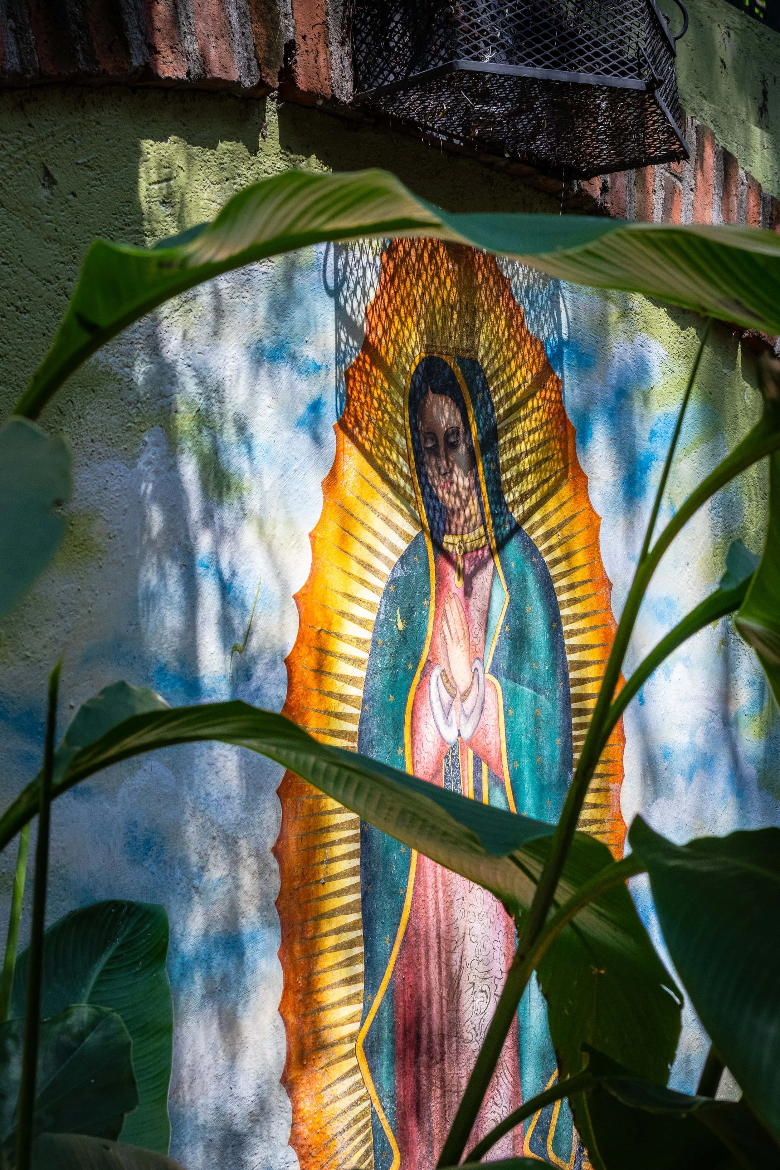 San Miguel ThomasEWilson-31.jpg