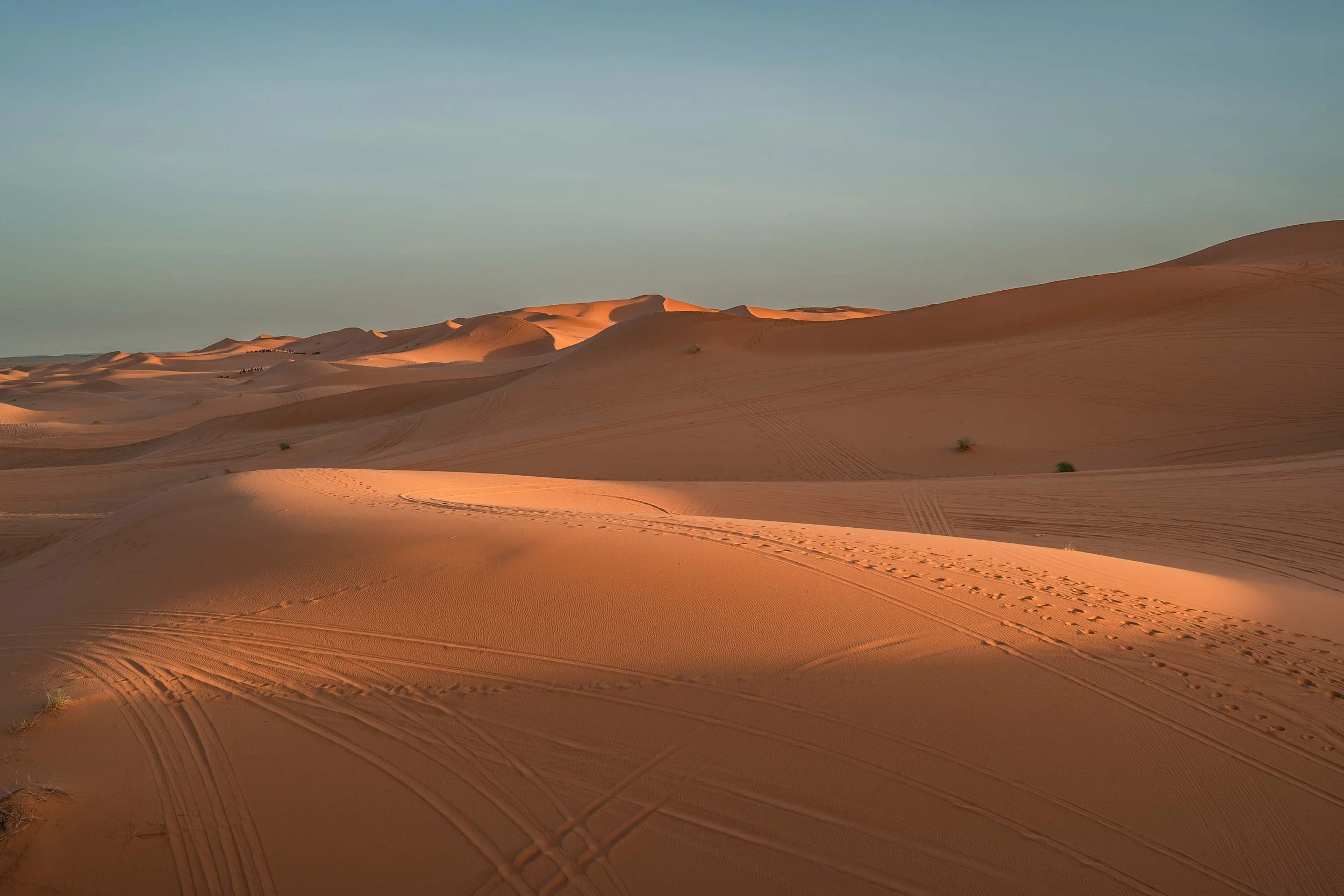 Morocco-ThomasEWilson-104.jpg