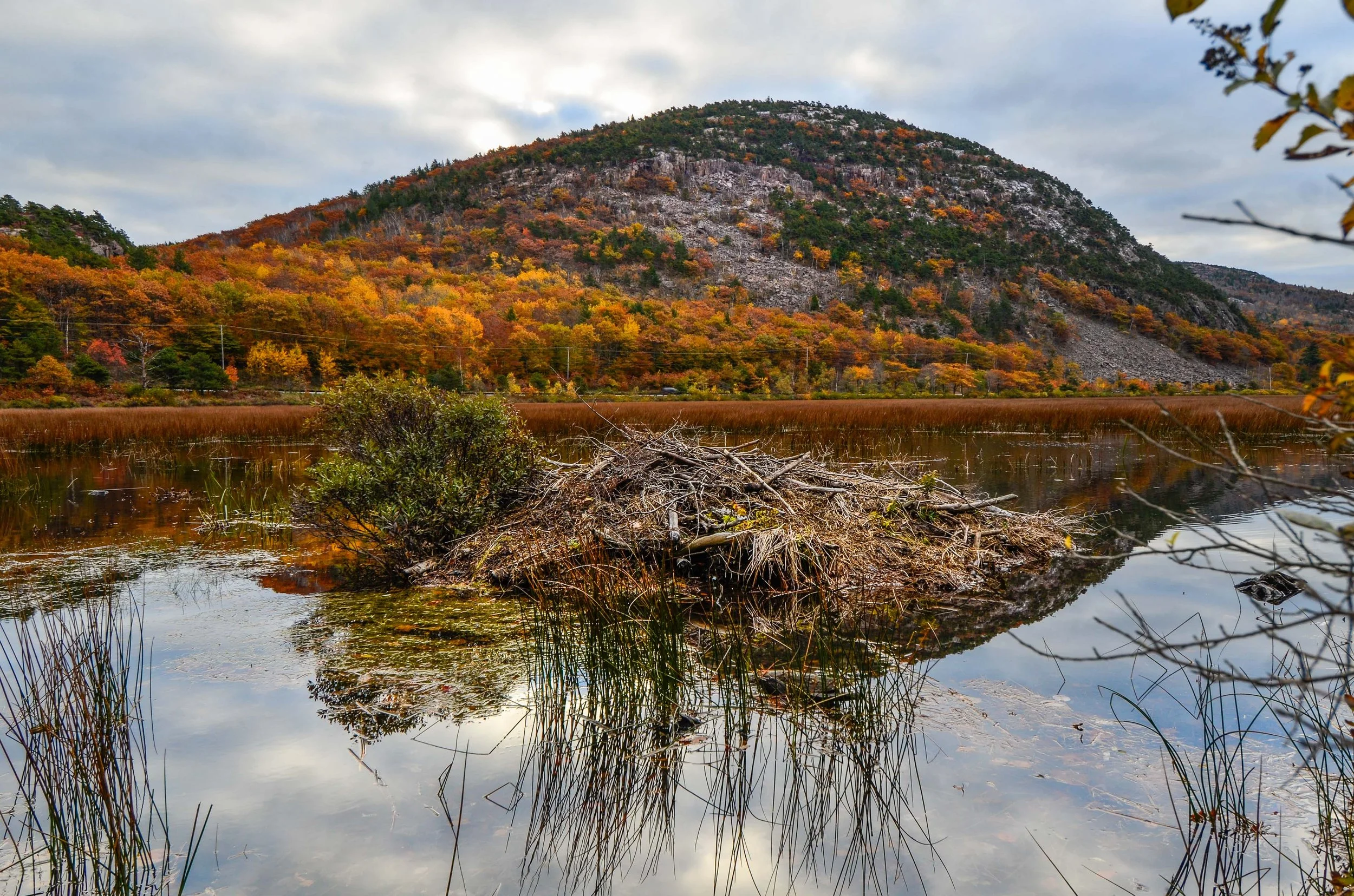 Acadia National Park, Maine