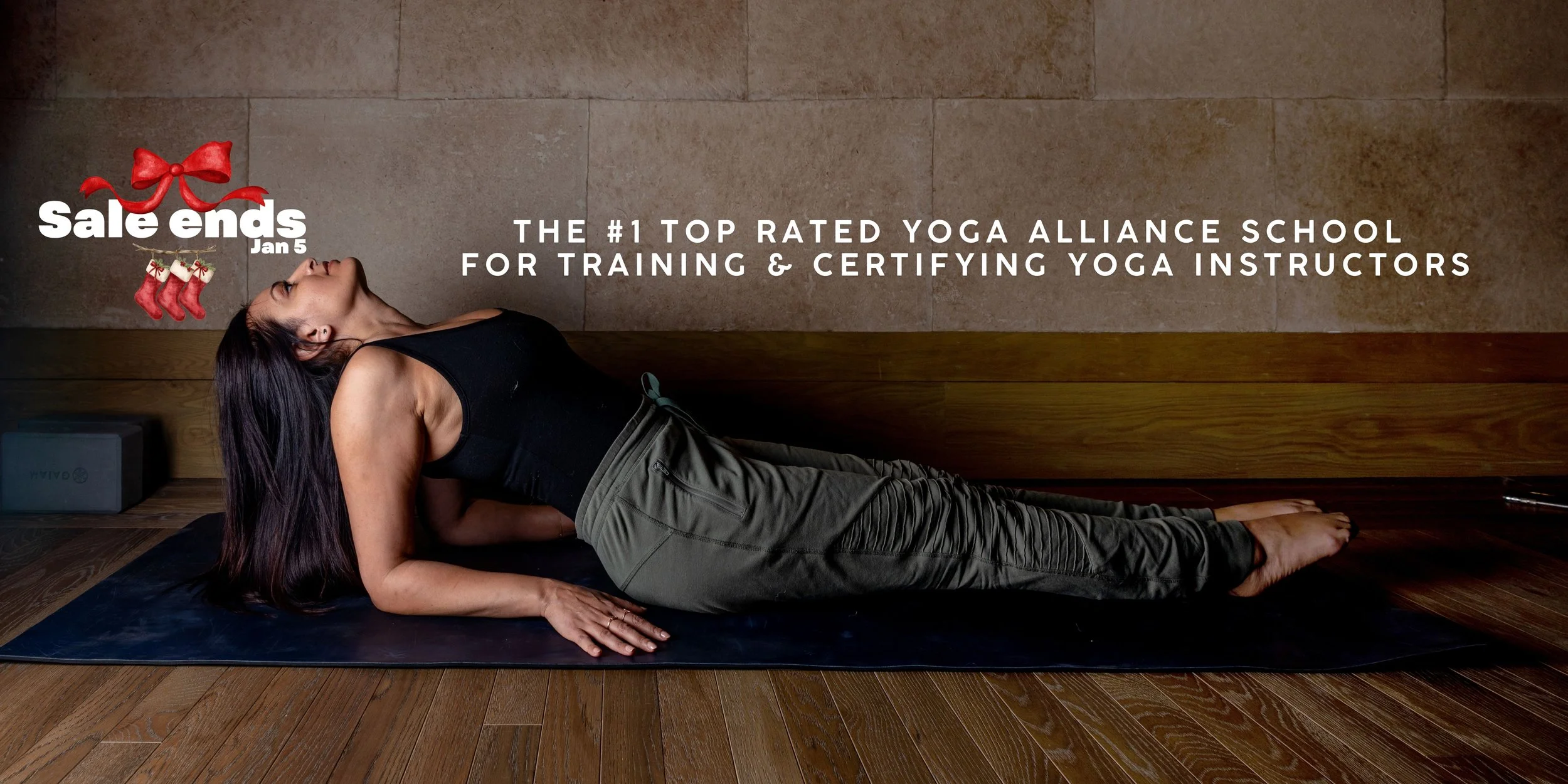 Christmas sale website banner.jpg