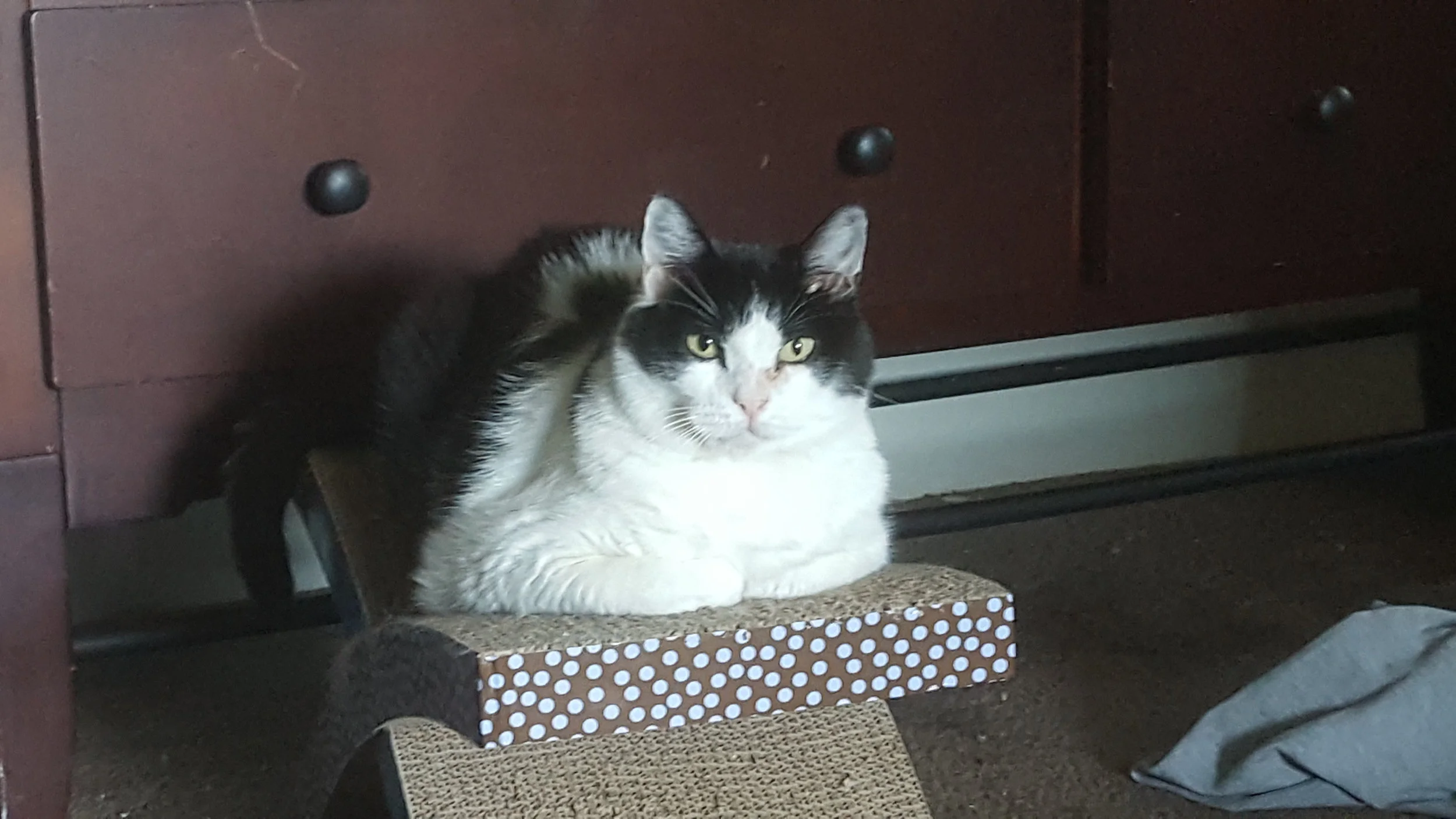 20160716_083844.jpg