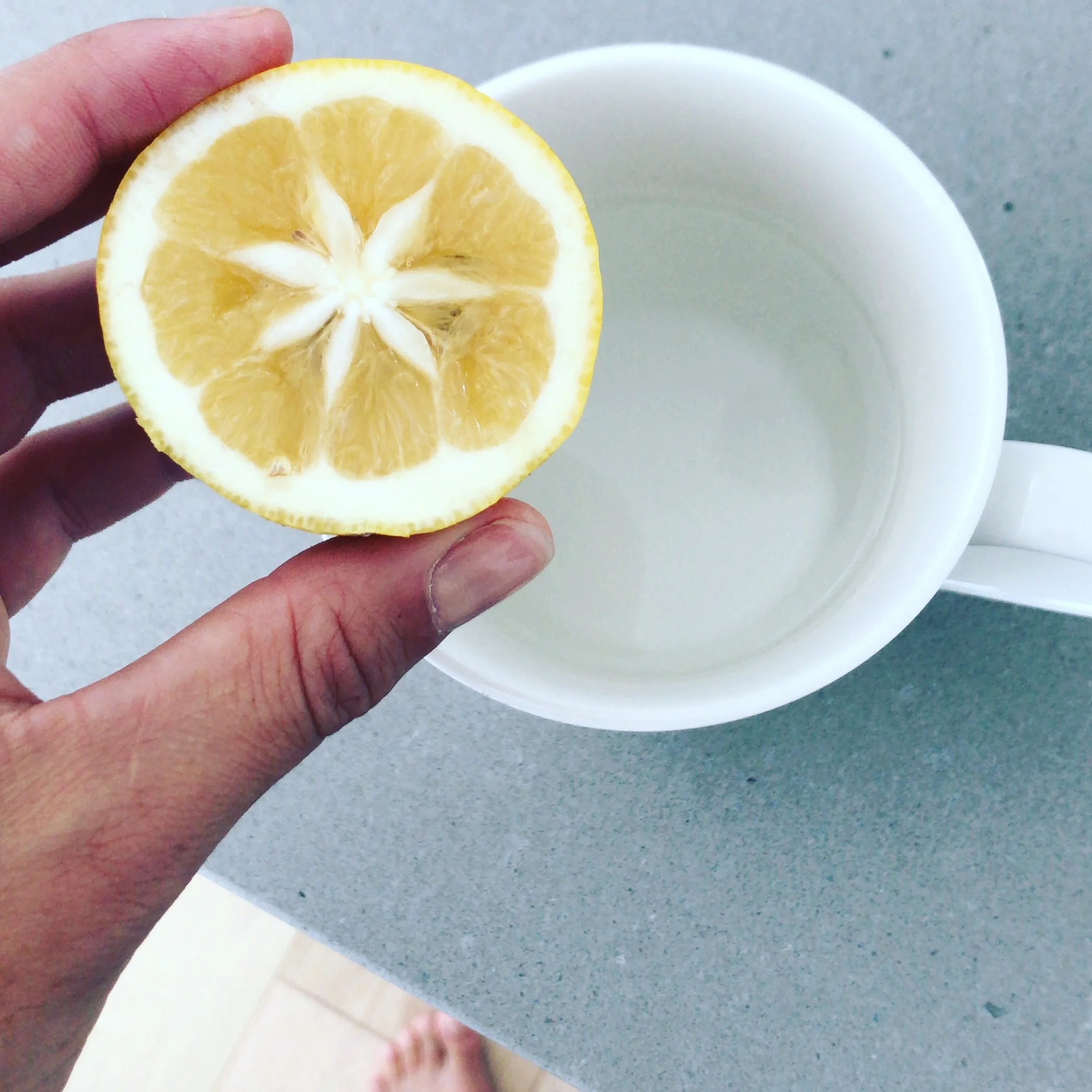 Come To Your Senses (How To Practice Mindfulness Without Adding Anything to Your To-Do List) 