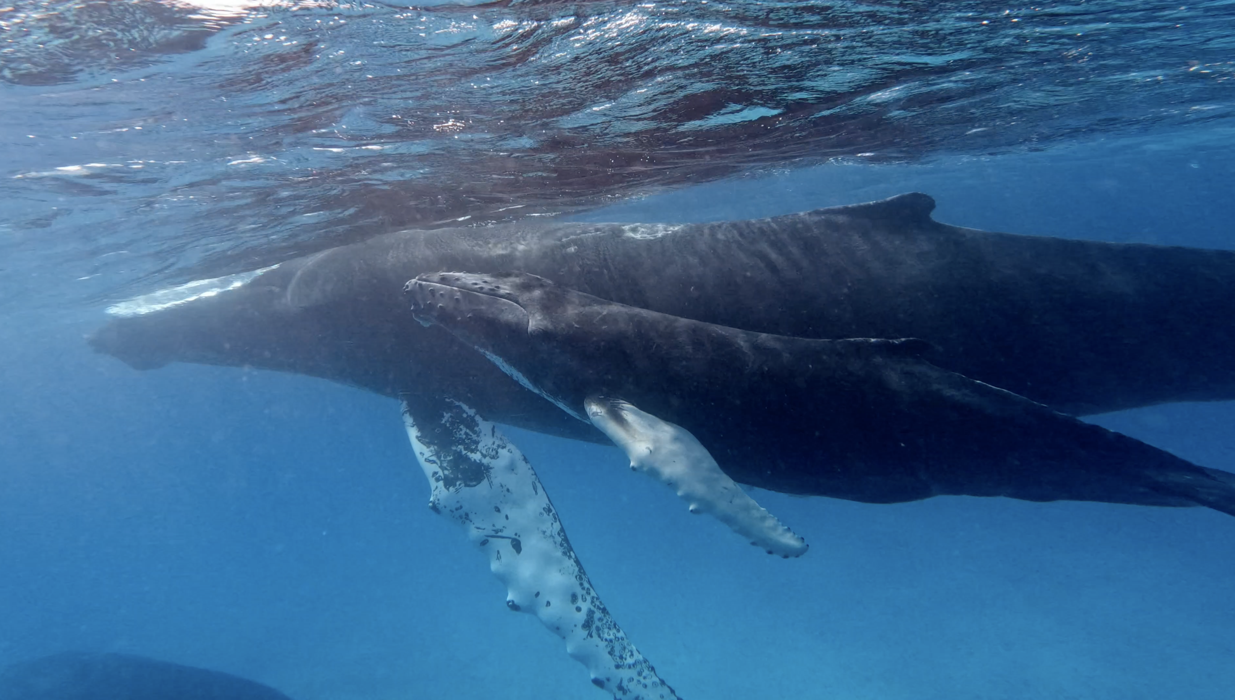 Screen Shot 2022-03-14 at 7.24.29 PM.PNG