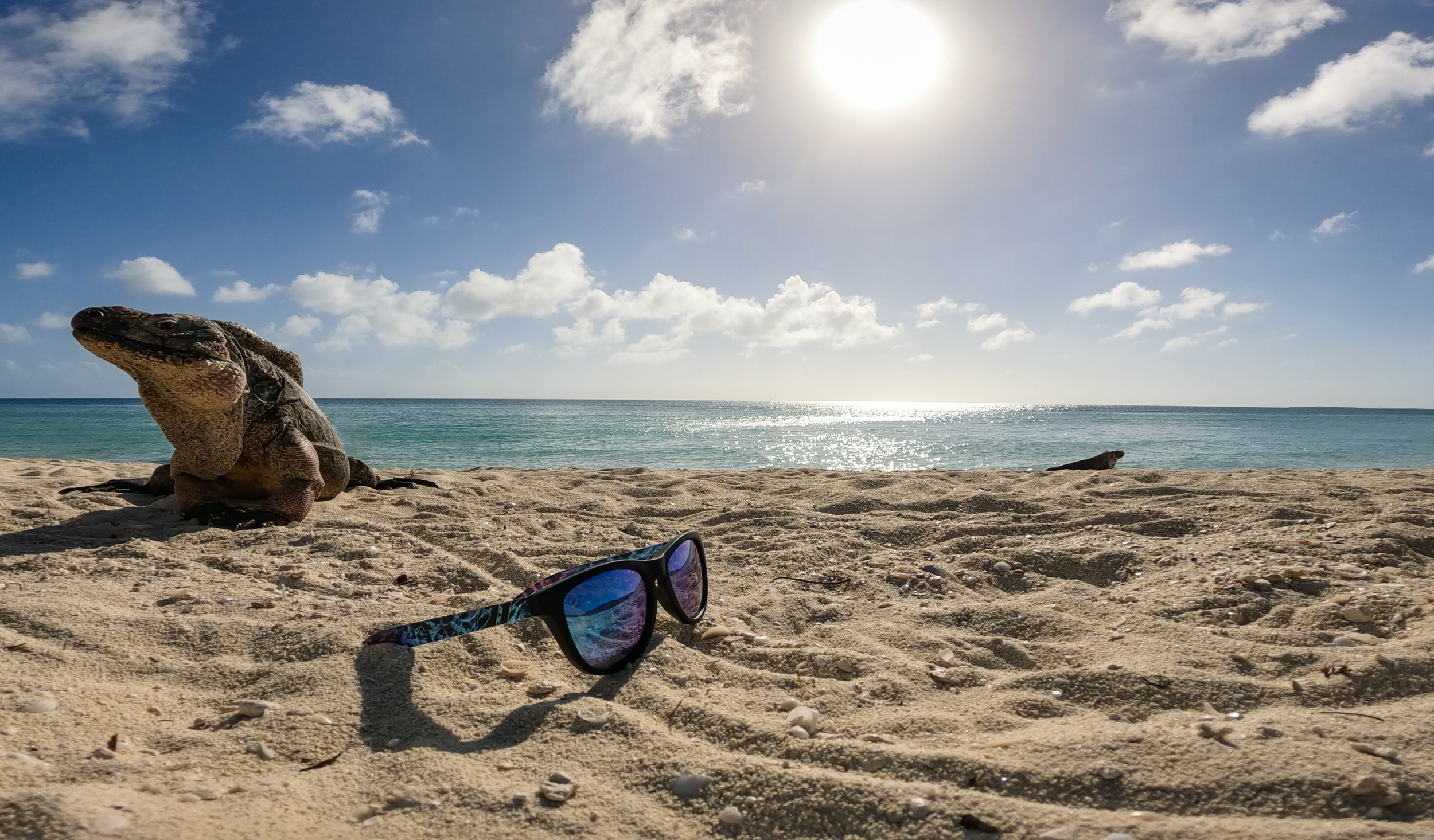 Blenders Bahamas 2.PNG