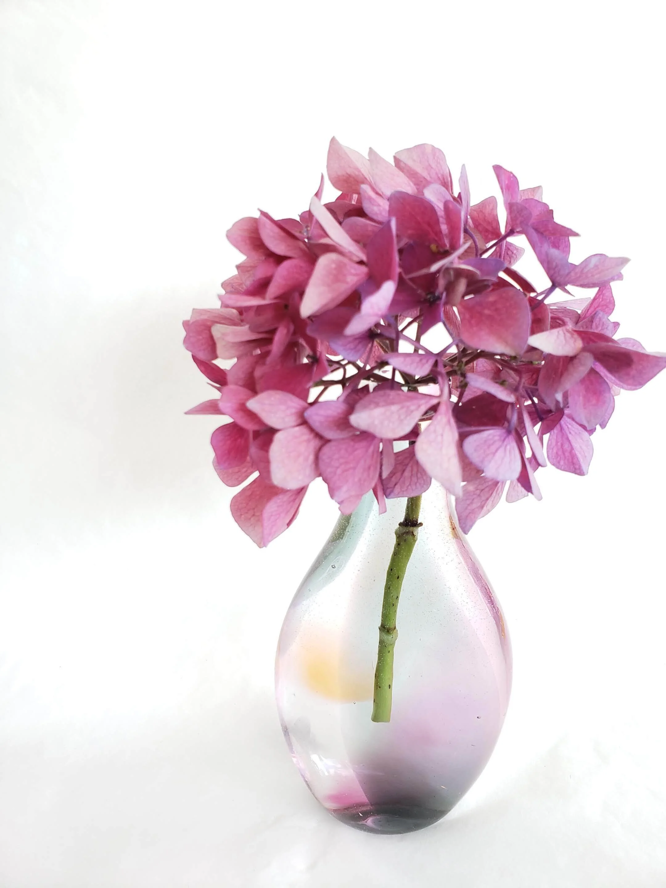 Shop Glass Art Amokura Glass Rotorua