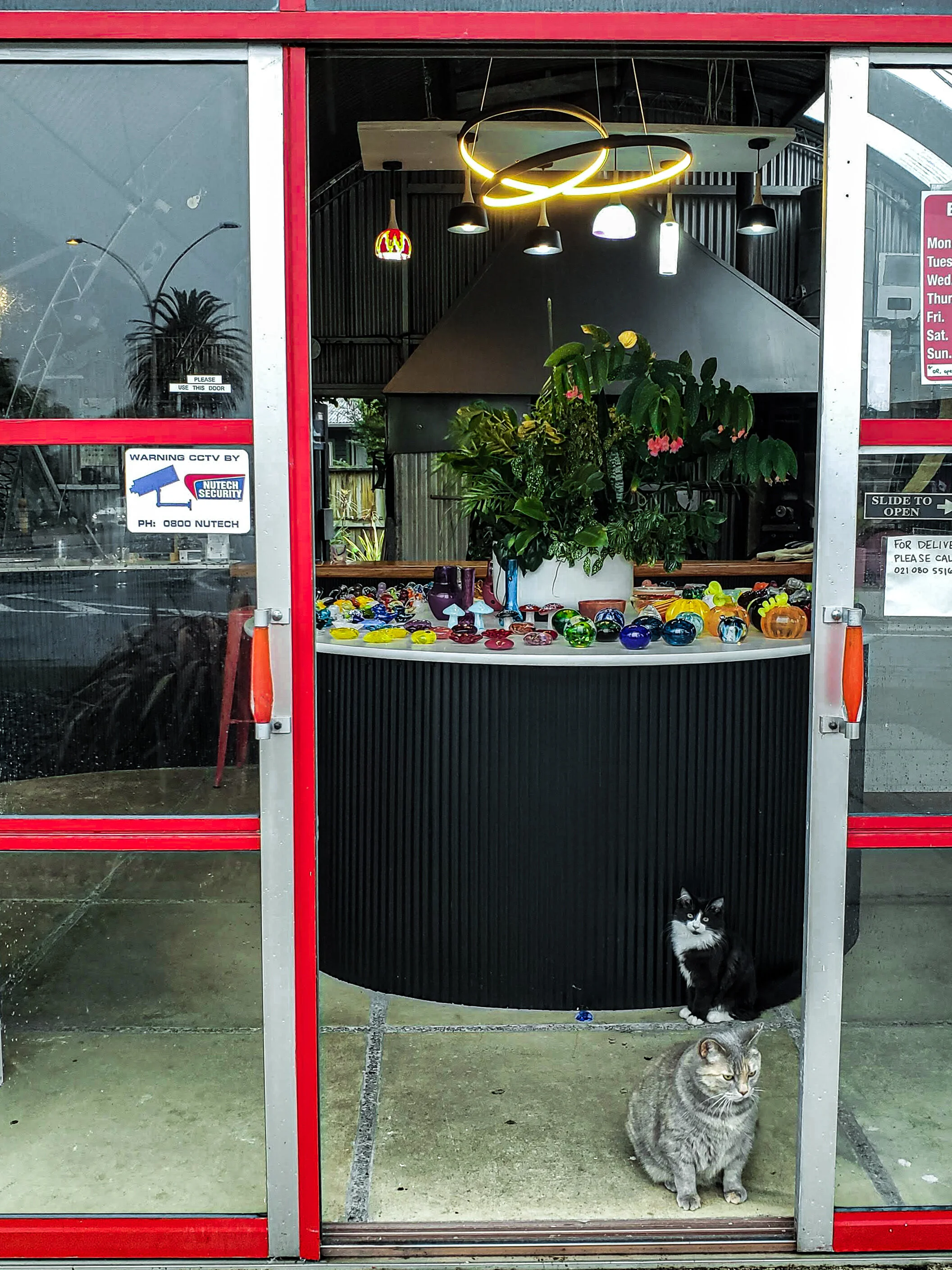 Our Amokura Glass Rotorua