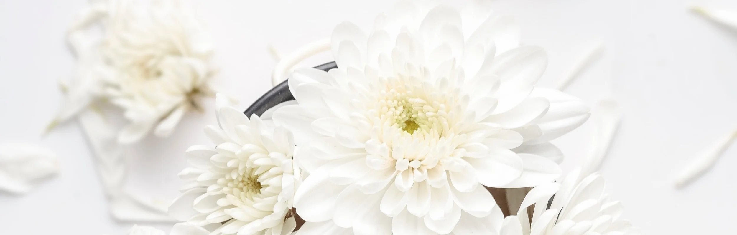 gifts that bloom header.jpg