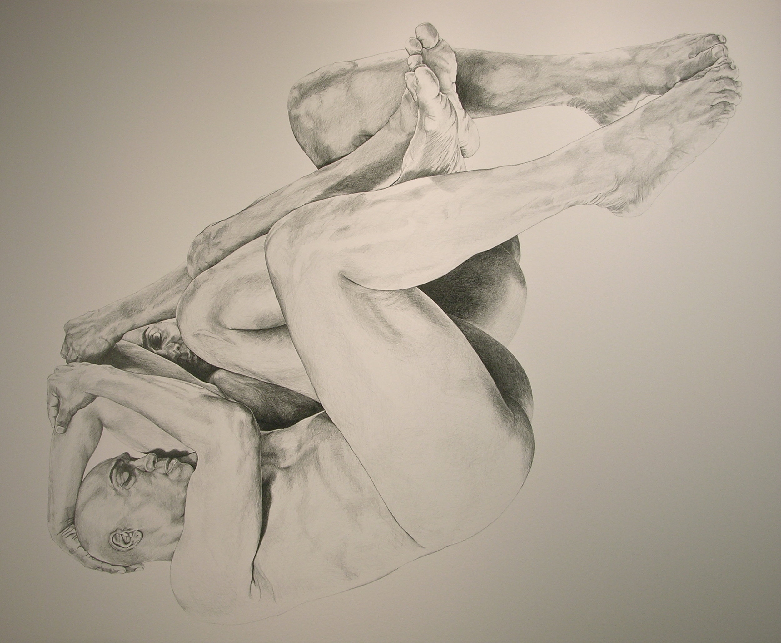  Flexion III , 2011 Graphite on paper 47" x 57" 