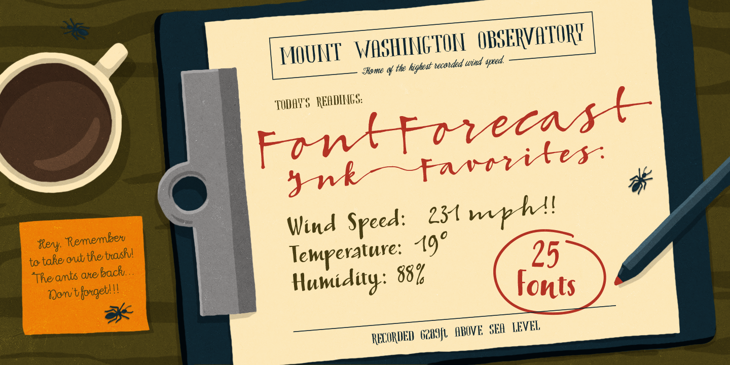 MF_BF_Specimen_Set02_01.png