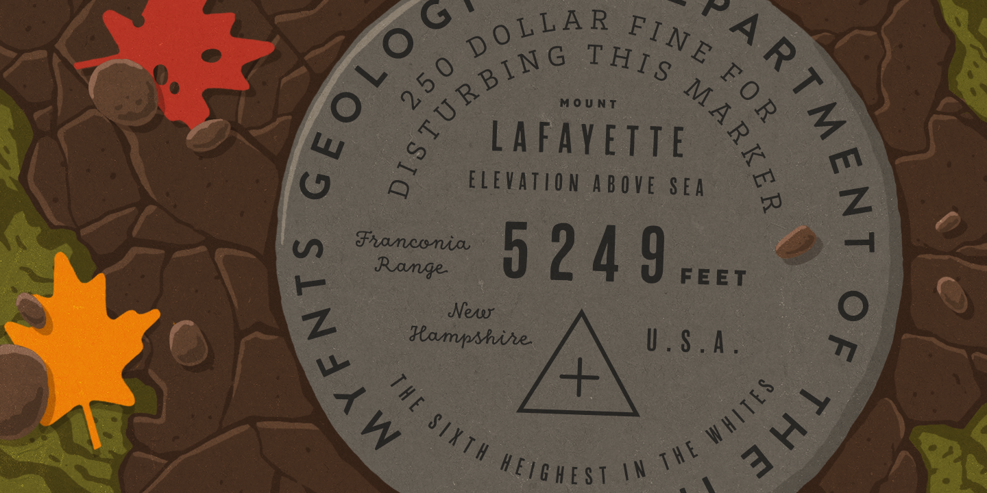 MF_BF_Specimen_Set04_03.png