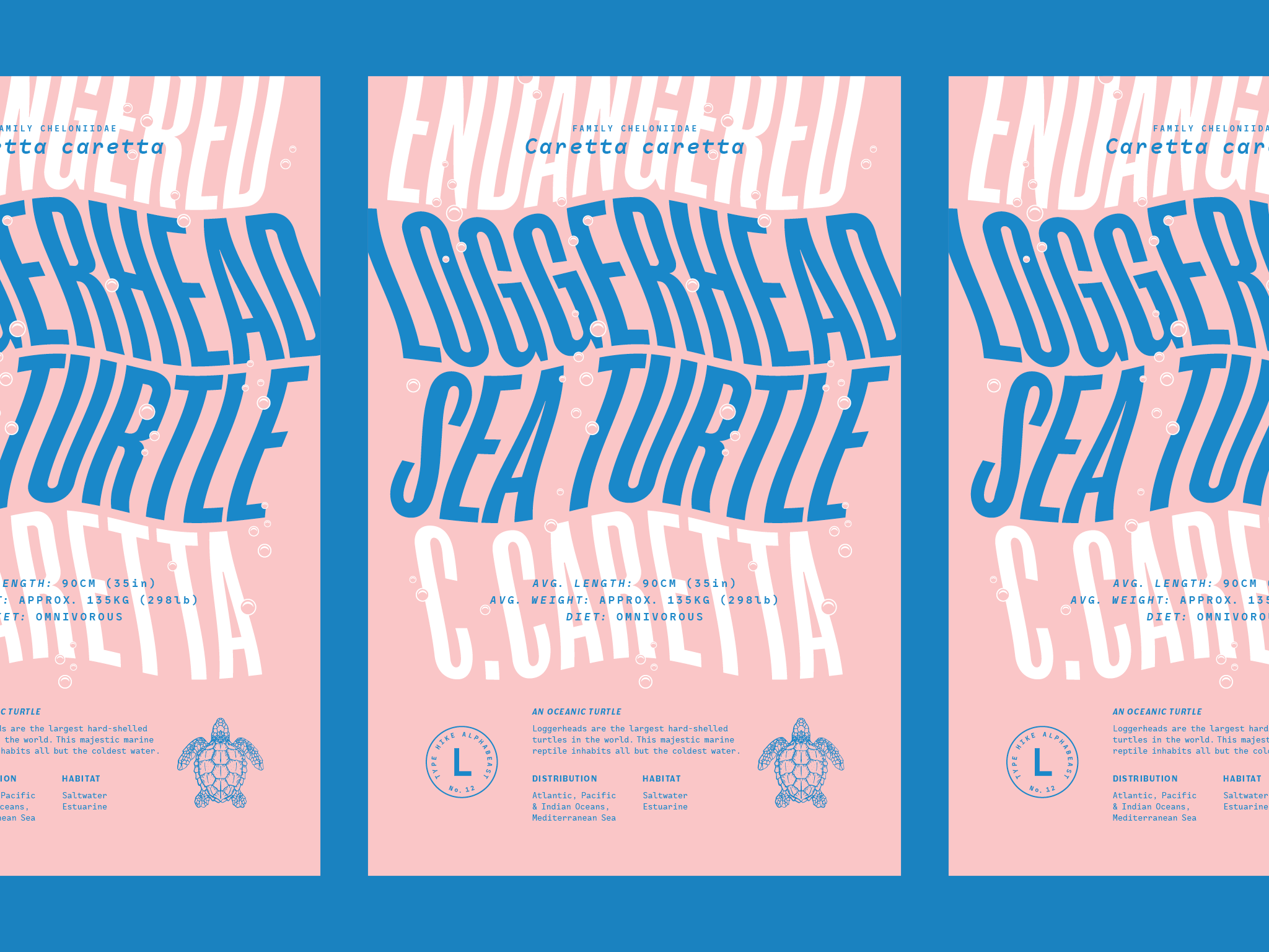 egw_typehike.png