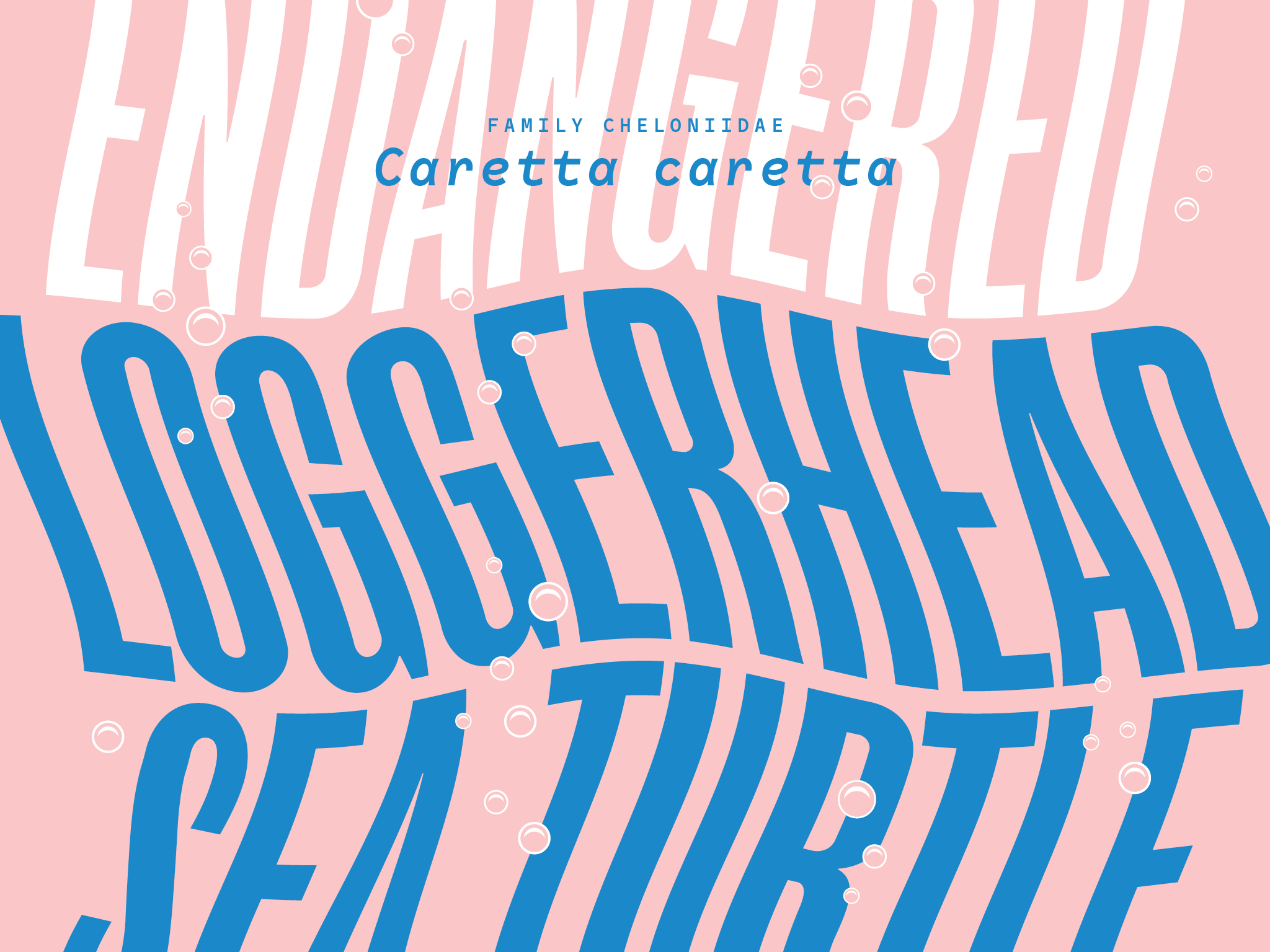 egw_typehike3.png