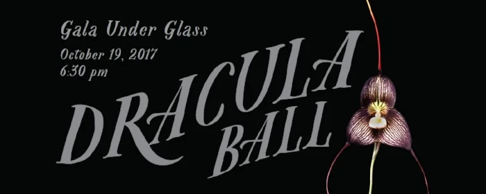 draculaheader.jpg