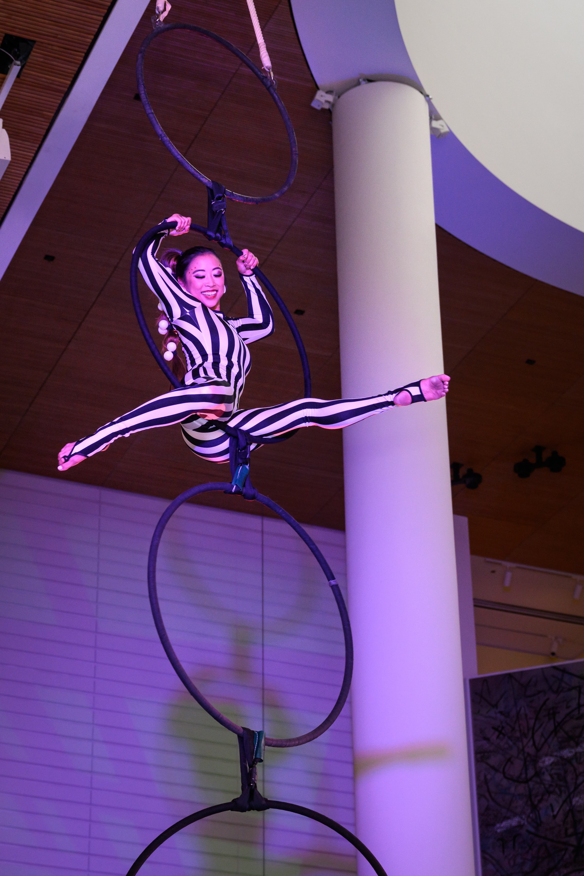 Flying Aerialist