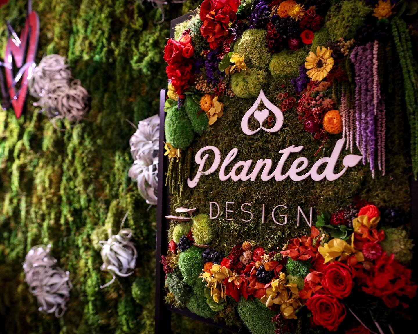 Capturing memories in style at #EntireProductions #ModernArtAttack 🌸🌱📸 Planted Design&rsquo;s (@planted.design) living wall was the ultimate selfie spot! ✨ 

Whether it&rsquo;s a moss wall or potted live plants, they have the perfect focal point t