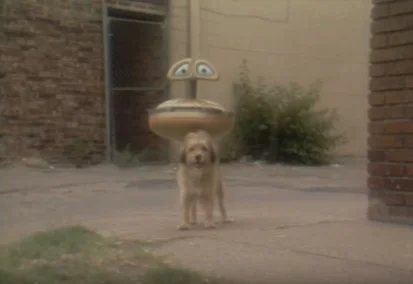 benji2.jpg
