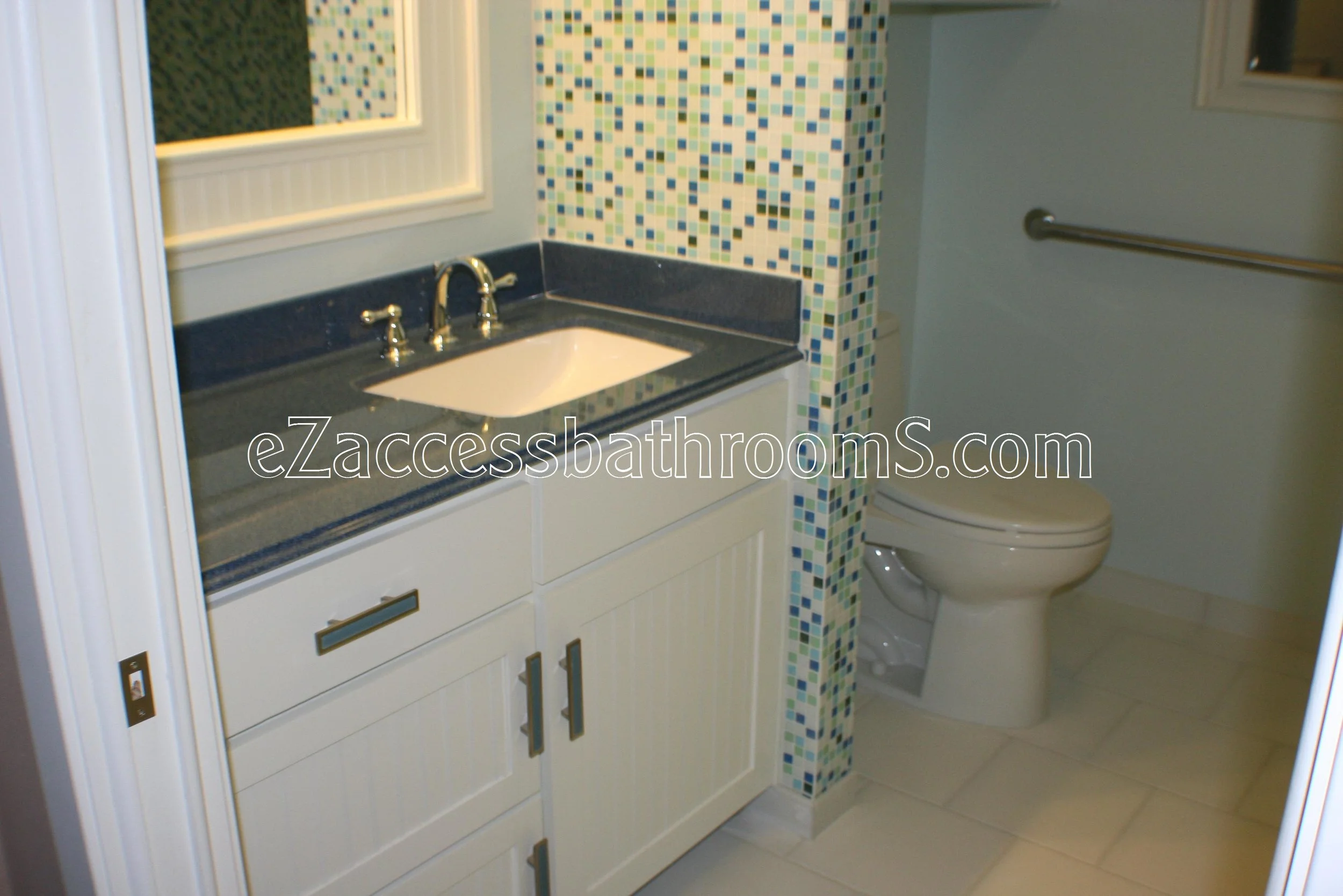 rollin shower ezaccessbathrooms.com 002.JPG