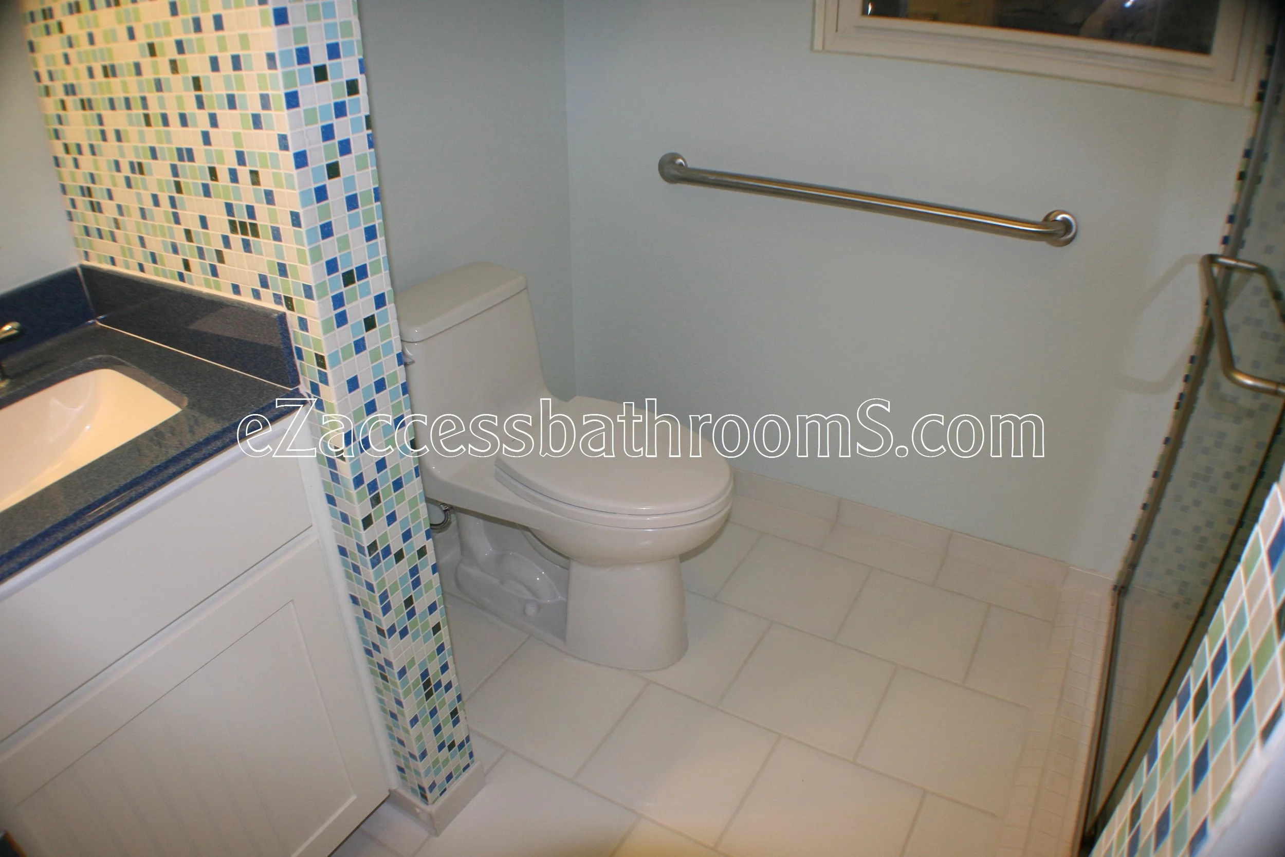 rollin shower ezaccessbathrooms.com 0004.JPG