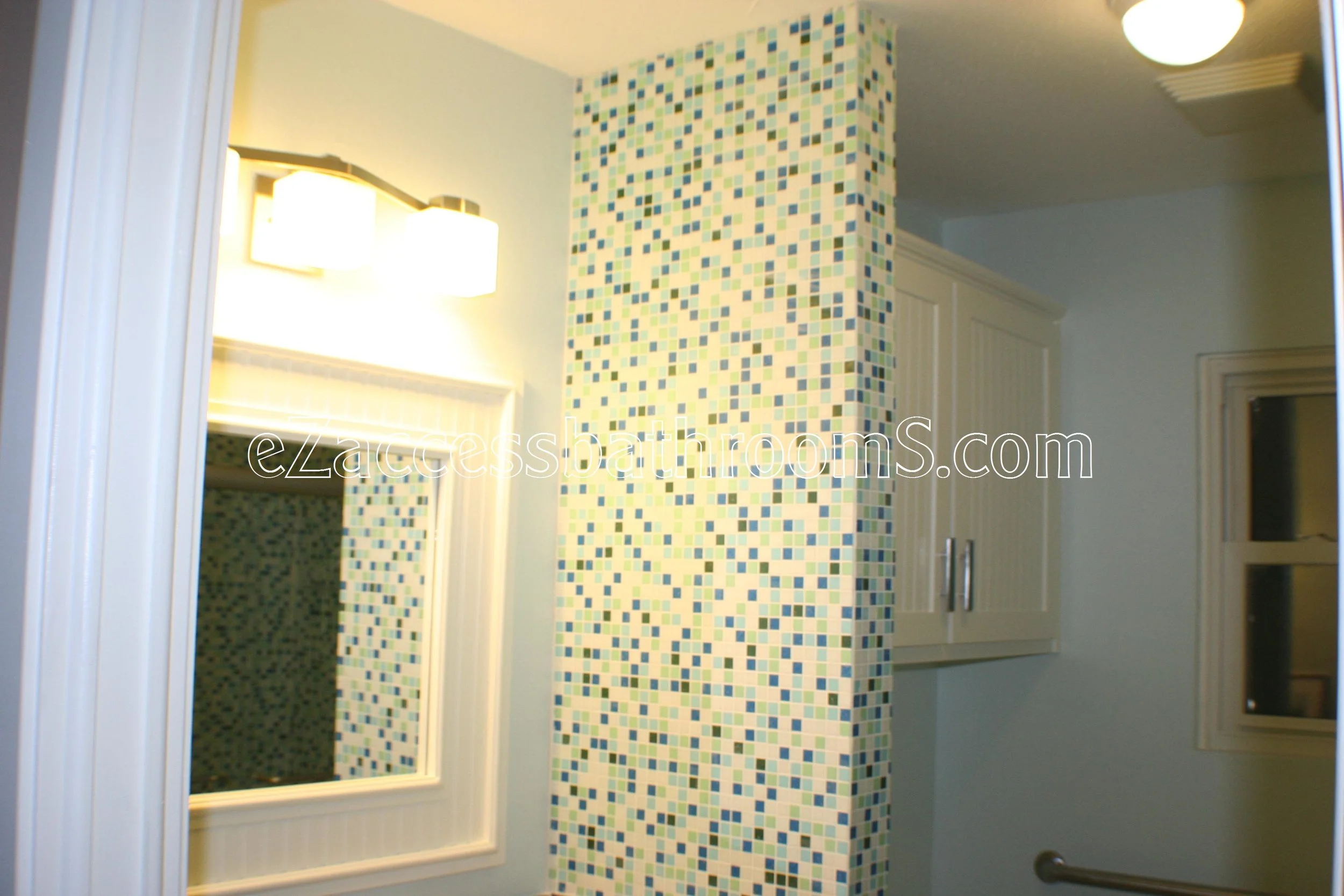 rollin shower ezaccessbathrooms.com 0026.JPG