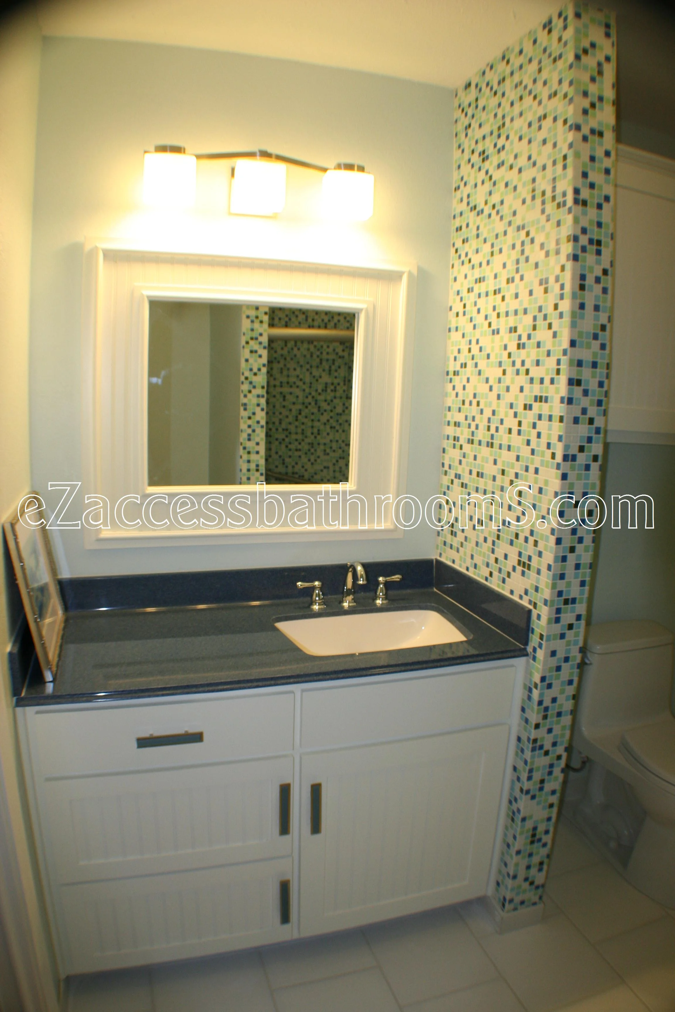 rollin shower ezaccessbathrooms.com 0031.JPG