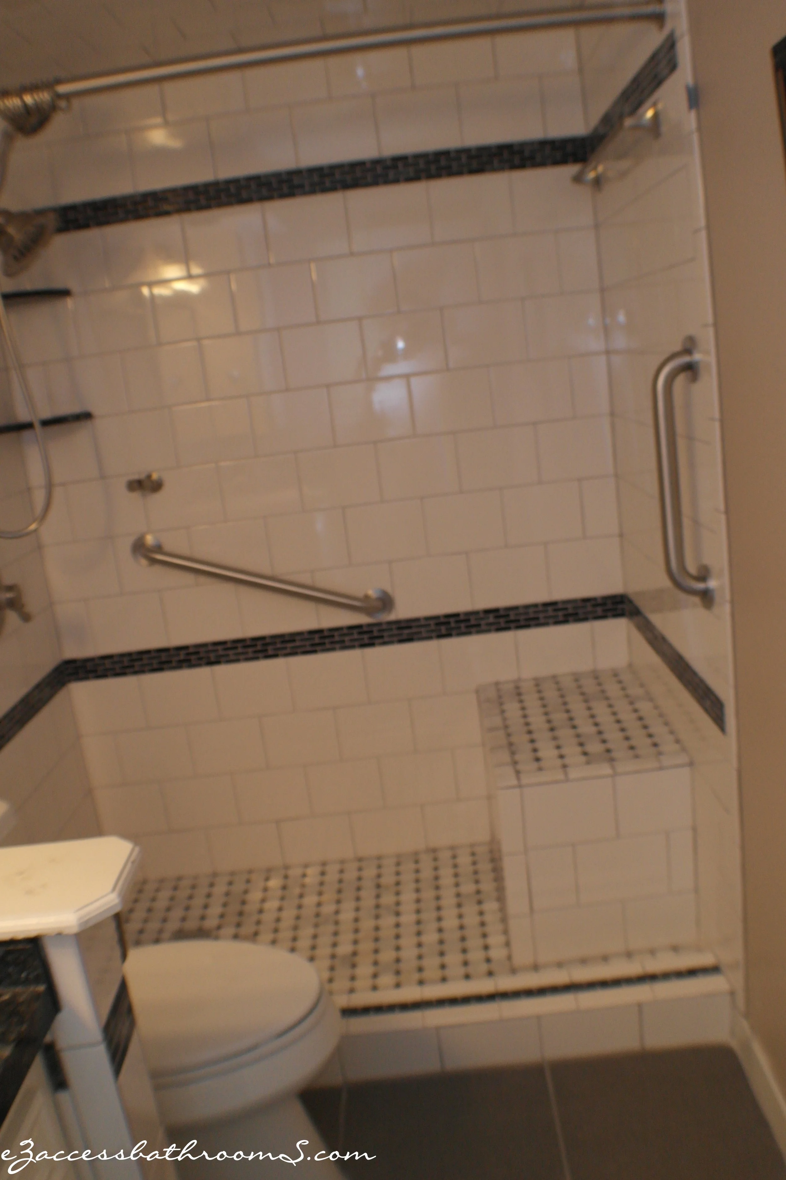 ELDERY FRIENDLY BATHROOMS 01A  EZACCESSBATHROOMS.COM 8322028453  0.JPG