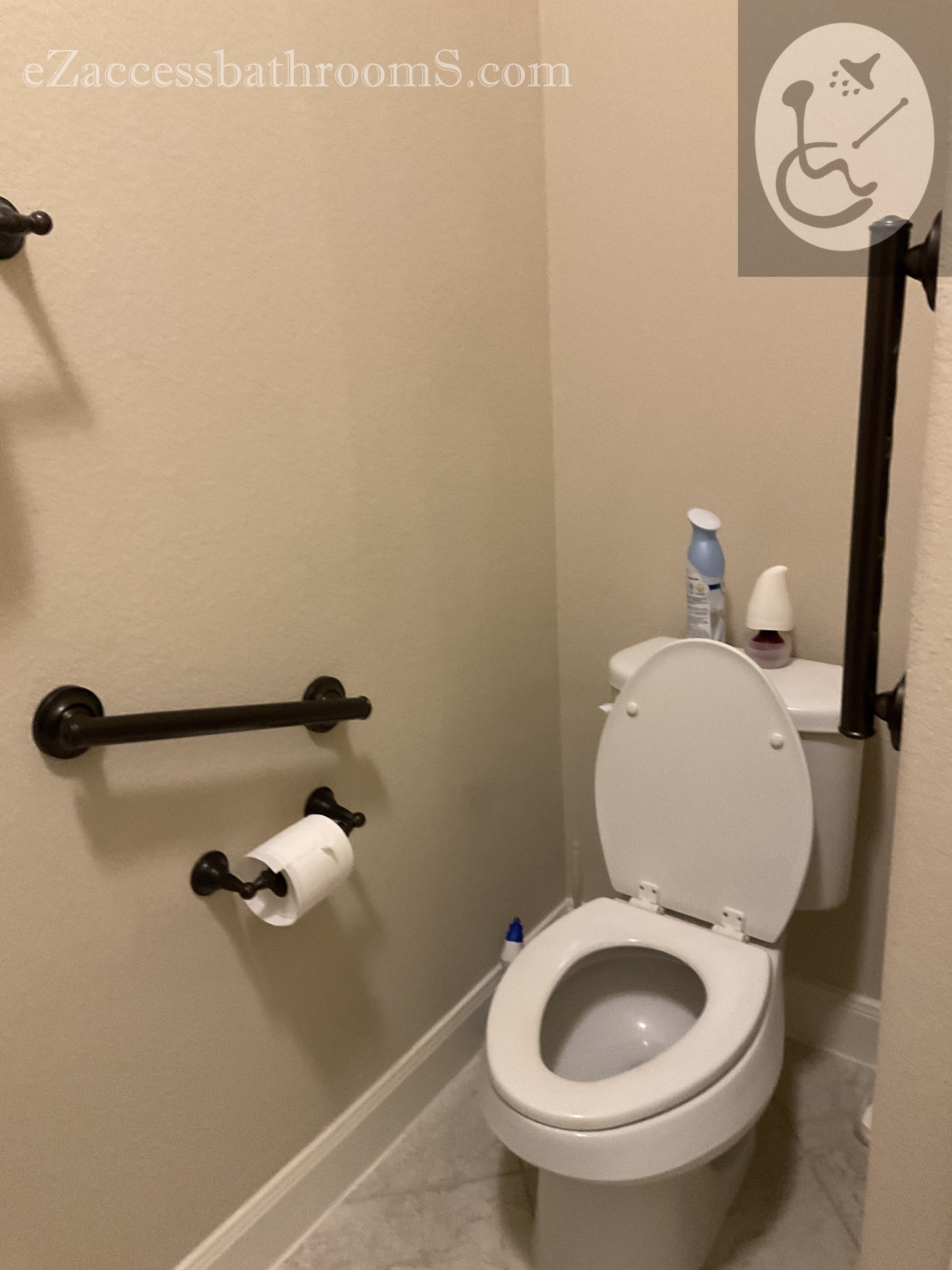 ezaccessbathrooms grab bar installations1003.JPG