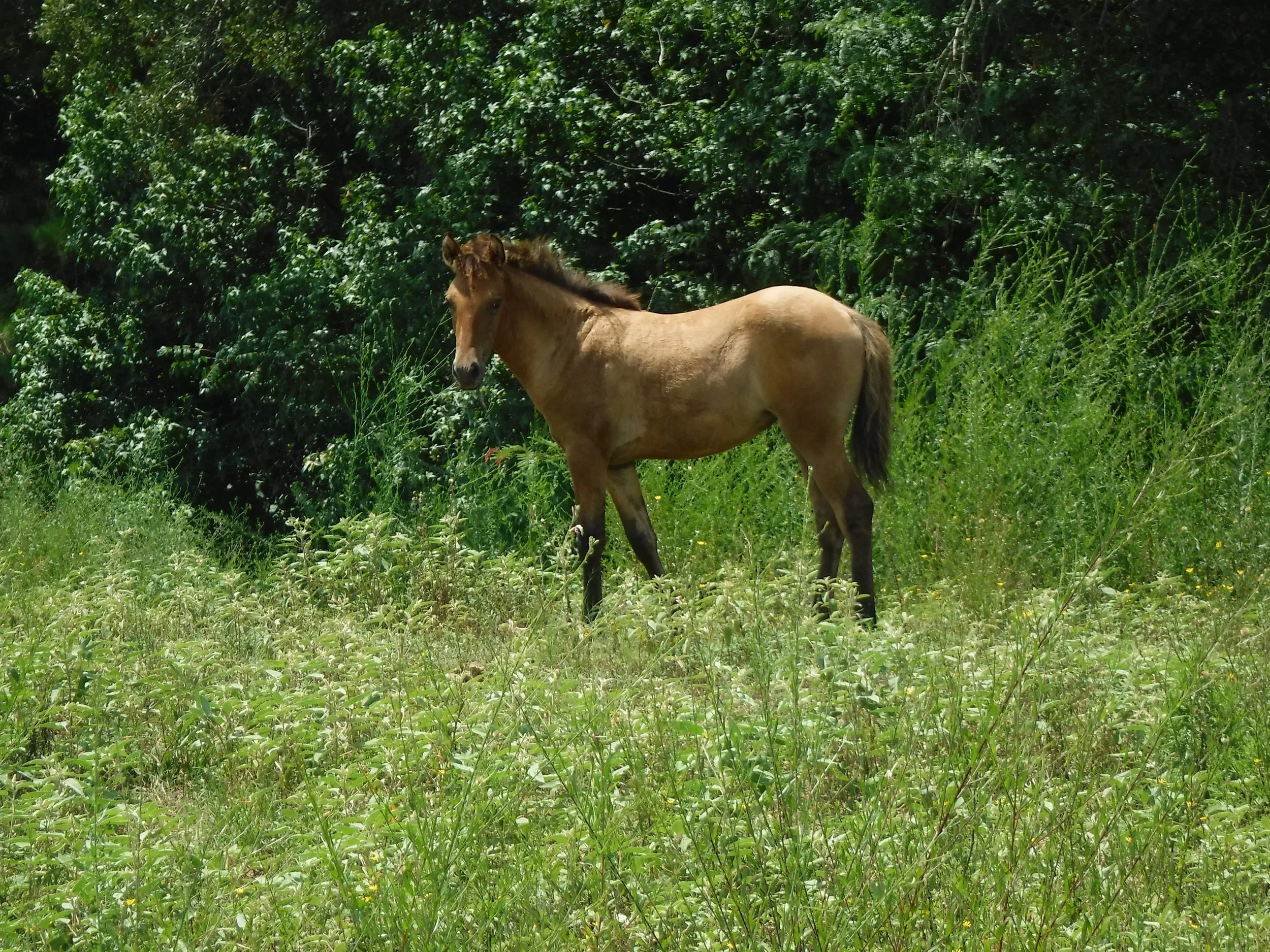 DSCF2097.JPG