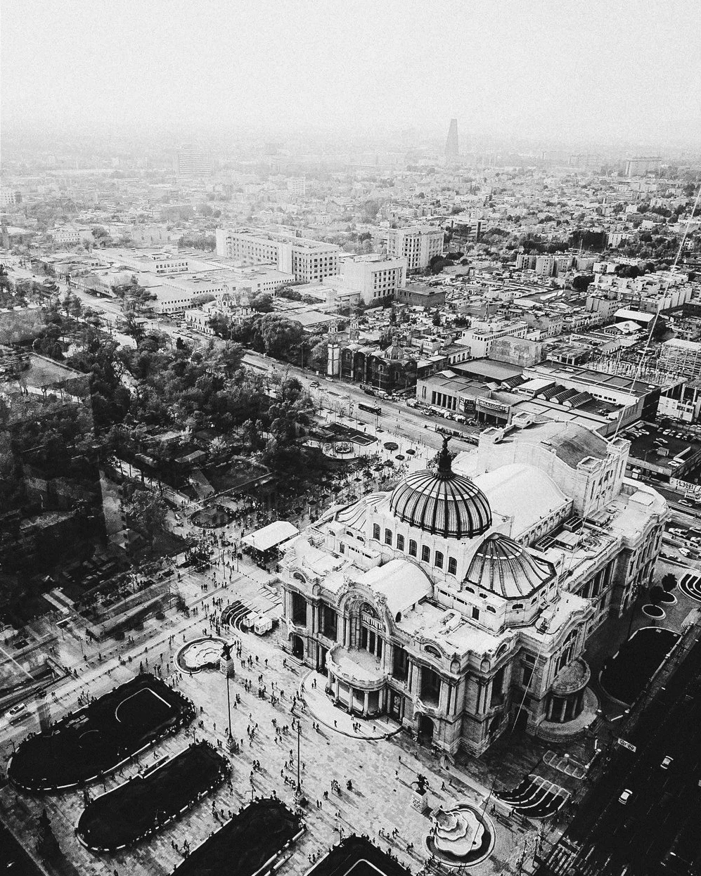 Bellas Artes, 2017.