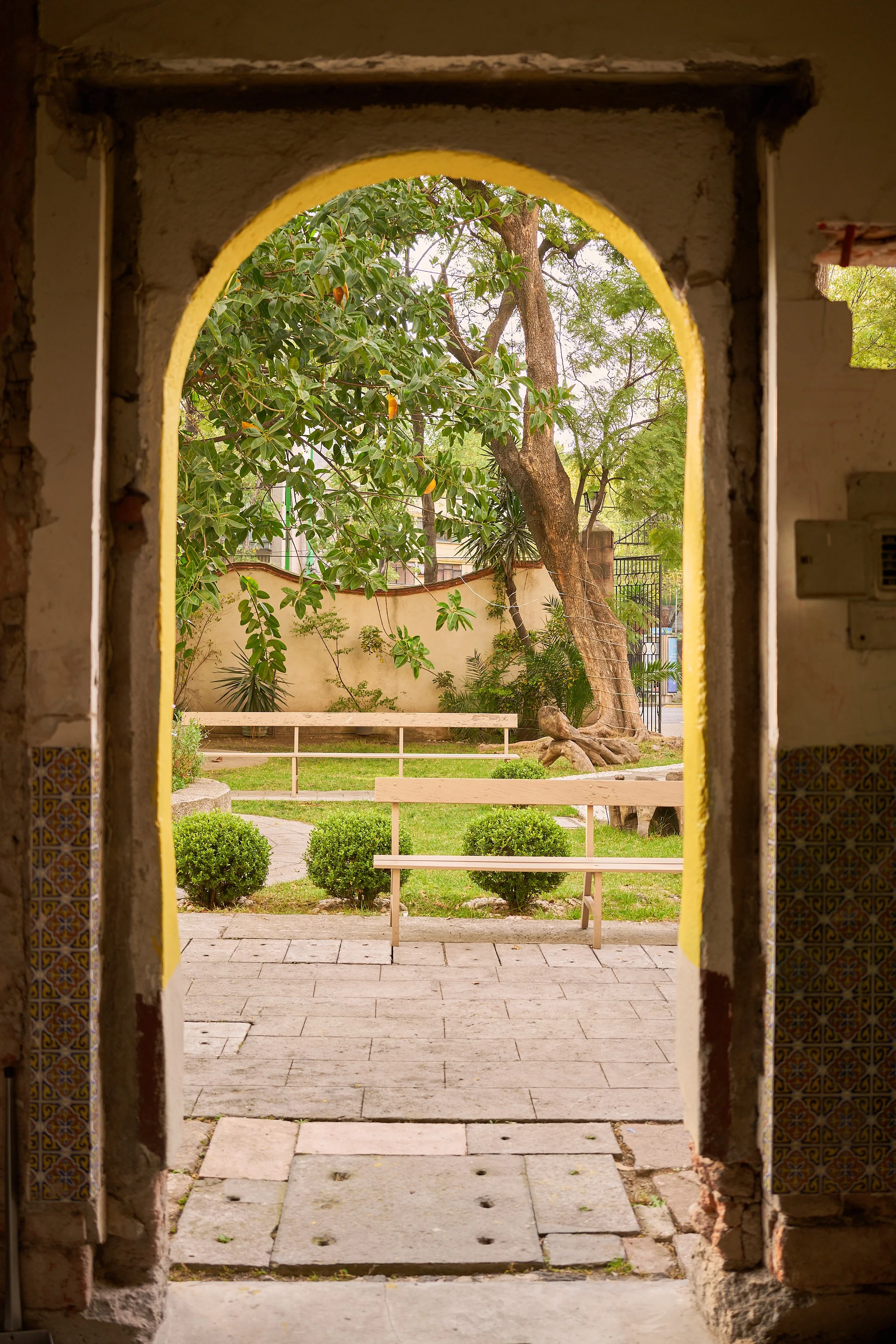 DSC09111.jpg