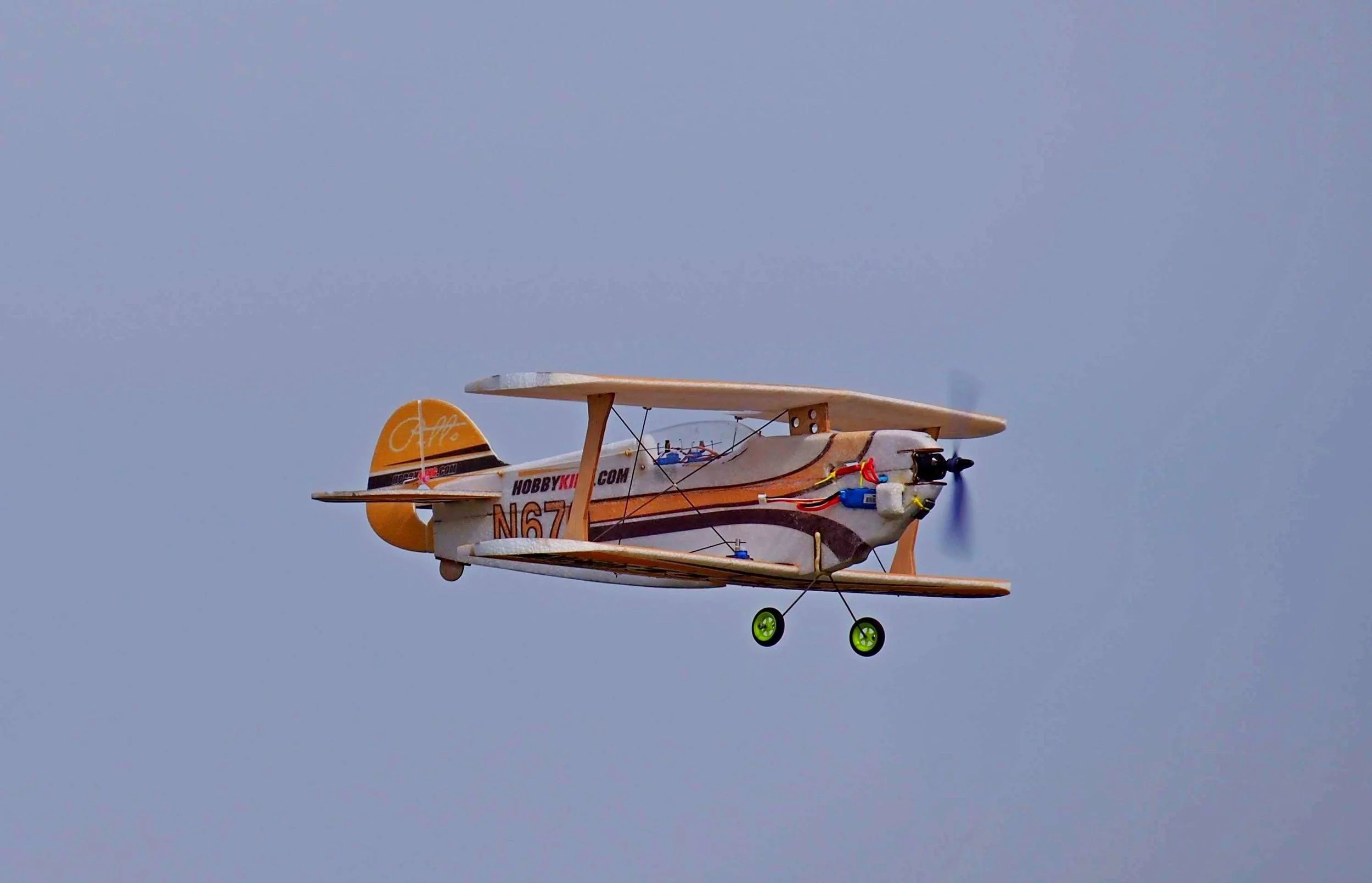 P4140058.jpg