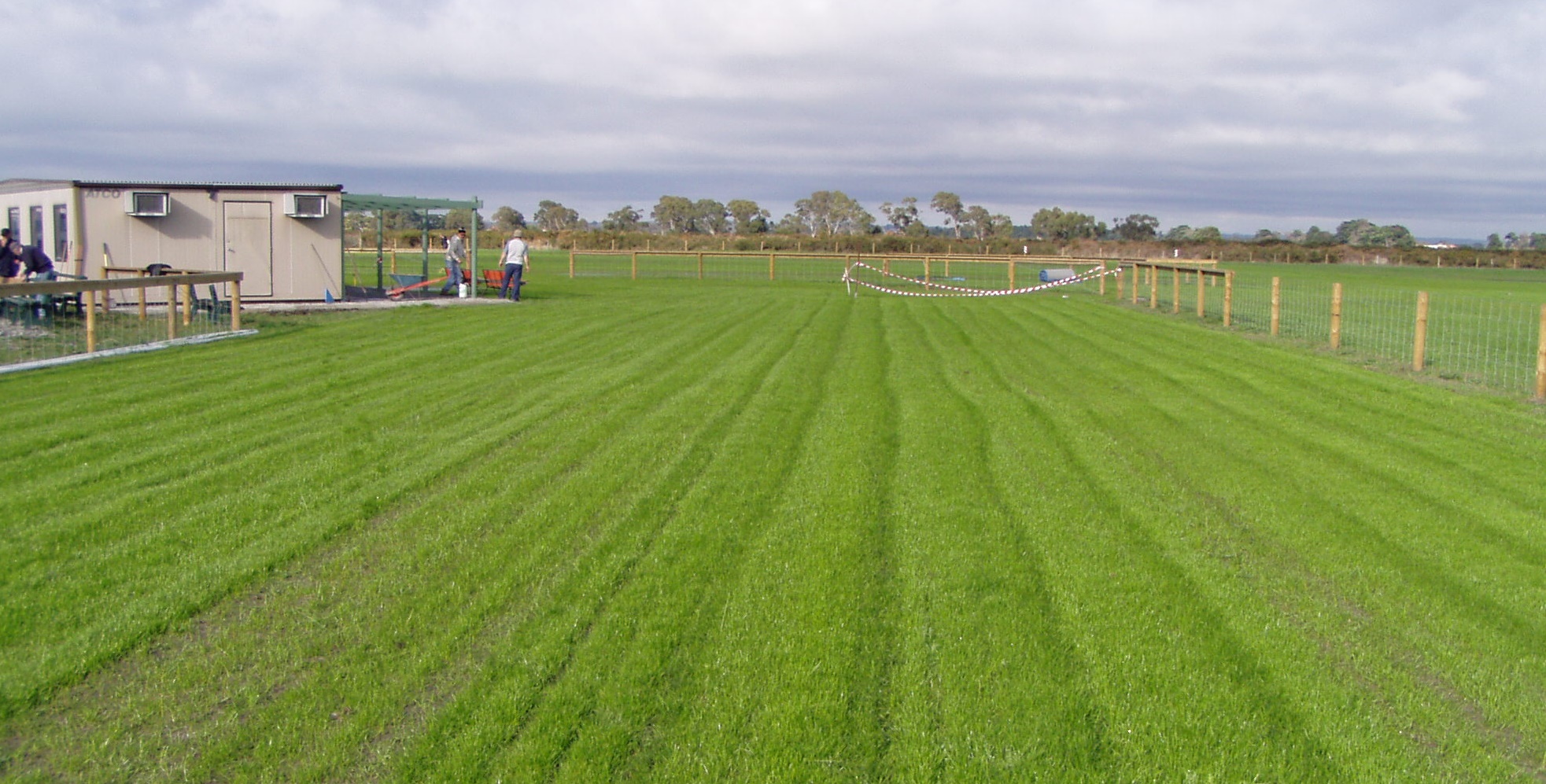 FieldGrass1.jpg