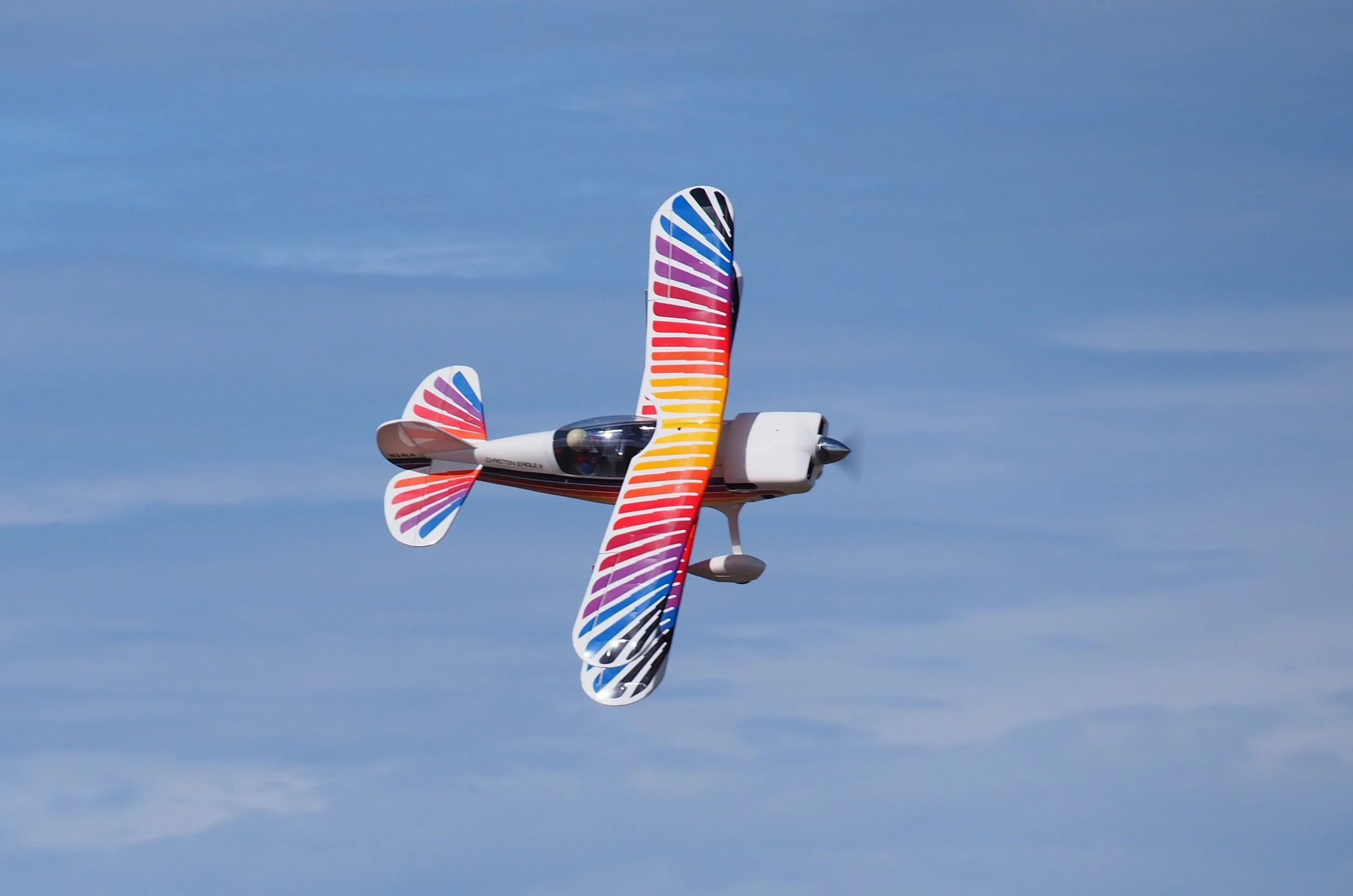 P4010029_cr.jpg